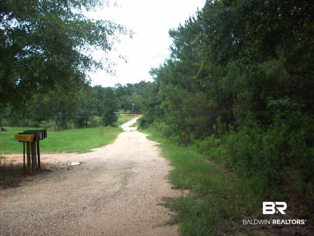 100 Rabbit Run Grove Hill, AL 36451 - Photo 5 of 9