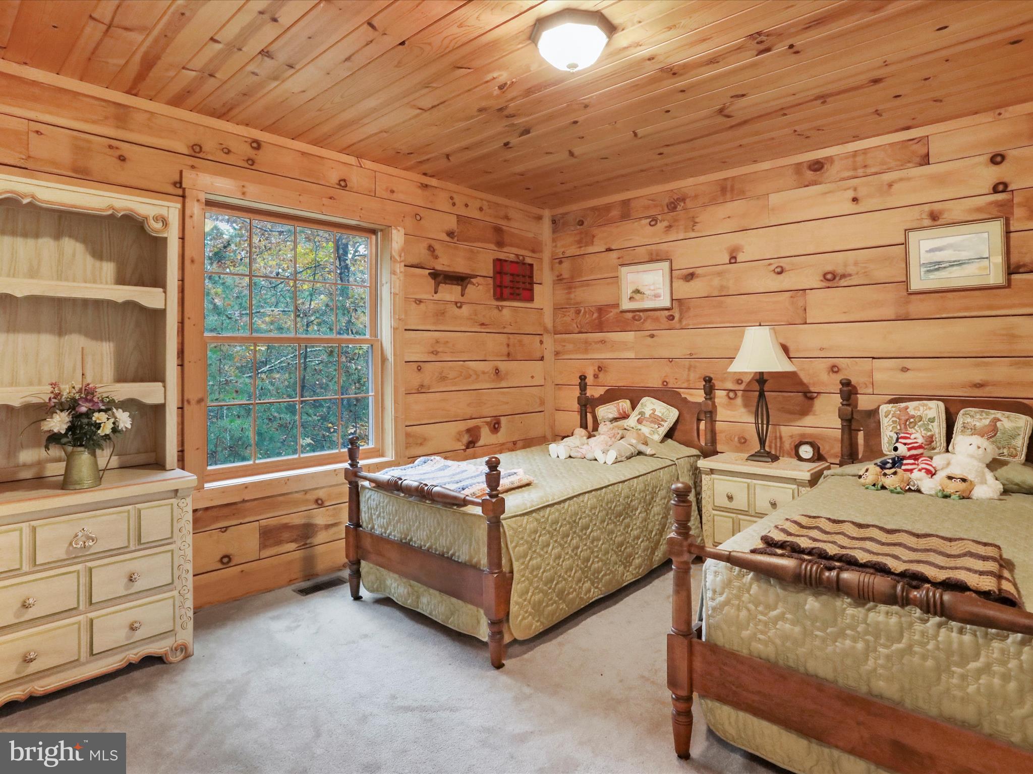 1027 Dry Run Road Fort Valley, VA 22652 - Photo 21 of 39 Gallery Image 21