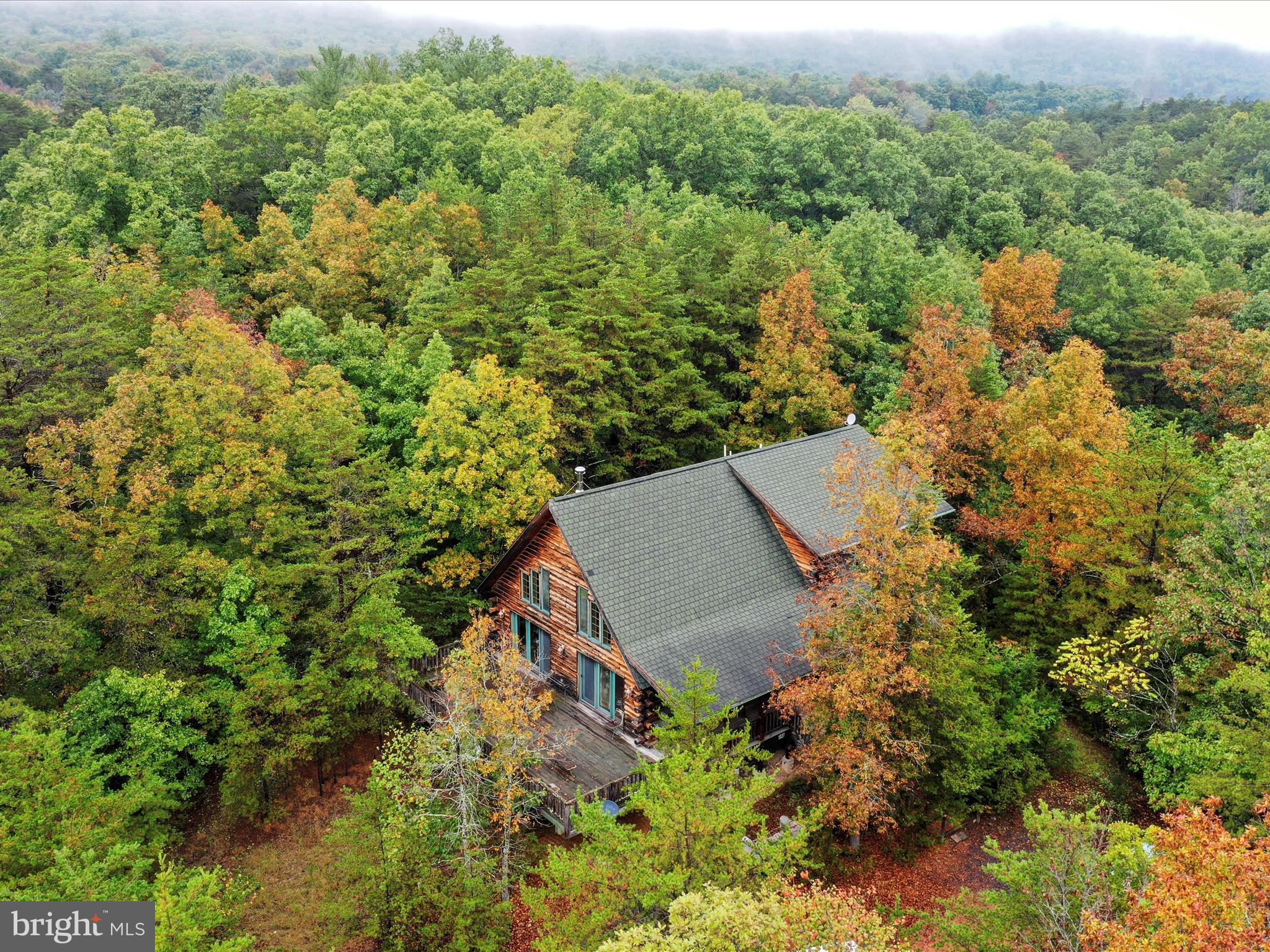 1027 Dry Run Road Fort Valley, VA 22652 - Photo 38 of 39 Gallery Image 38