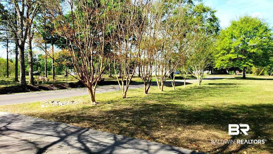 16041 Pine Grove Rd Extension South Bay Minette, AL 36507 - Photo 2 of 19