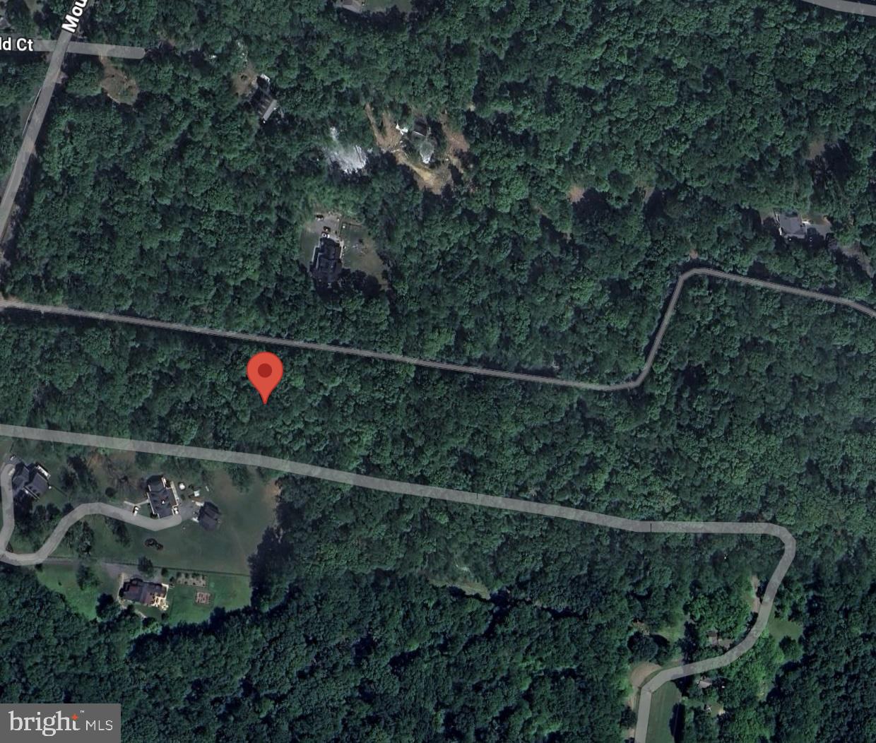 2001 Mountain Road Haymarket, VA 20169 - Photo 6 of 7 a view of a forest with a tree