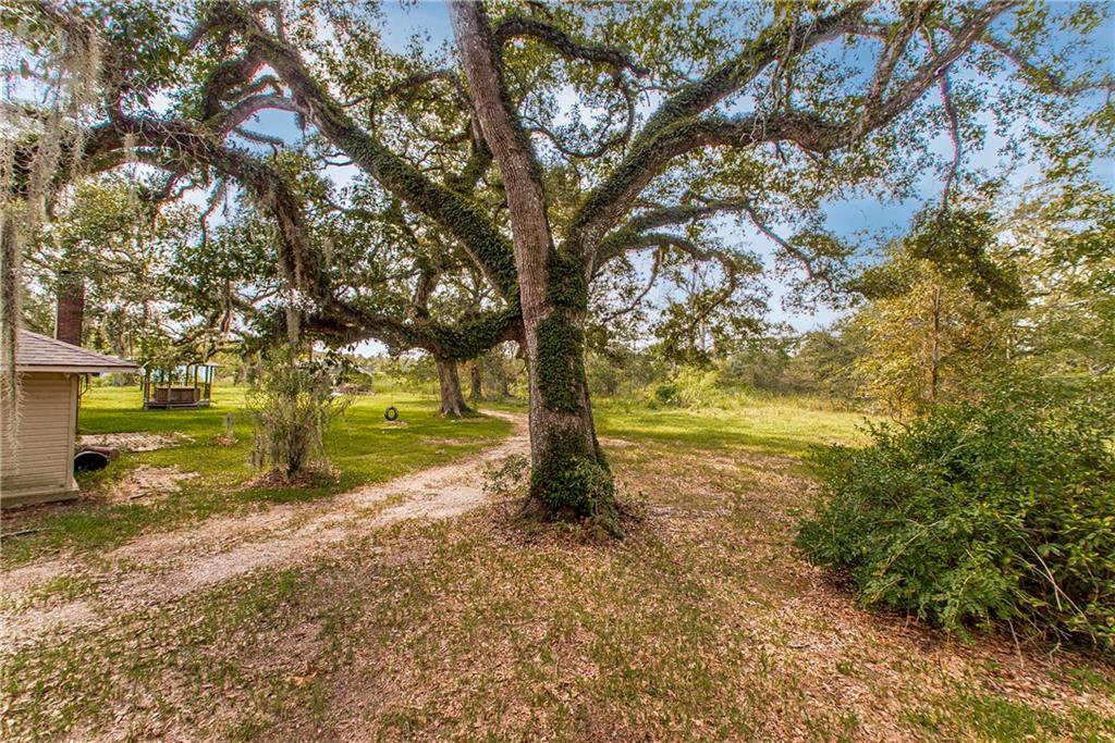 43265 Anthon Lane Hammond, LA 70403 - Photo 19 of 24