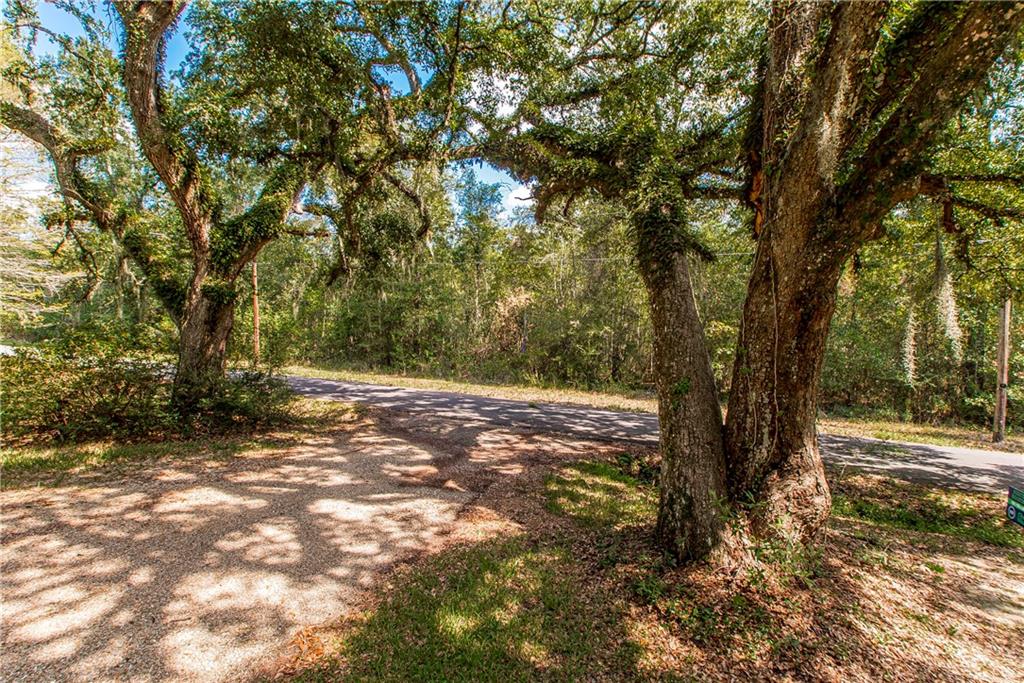 43265 Anthon Lane Hammond, LA 70403 - Photo 2 of 24