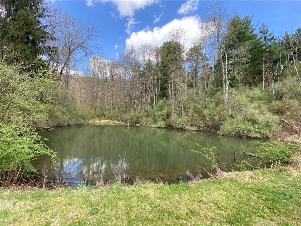 213 Hargus Creek Road Waynesburg, PA 15341 - Photo 6 of 19