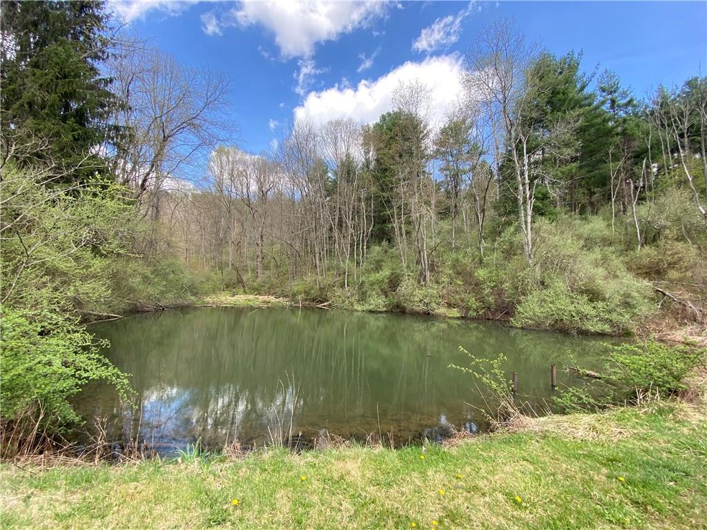 213 Hargus Creek Road Waynesburg, PA 15341 - Photo 10 of 19