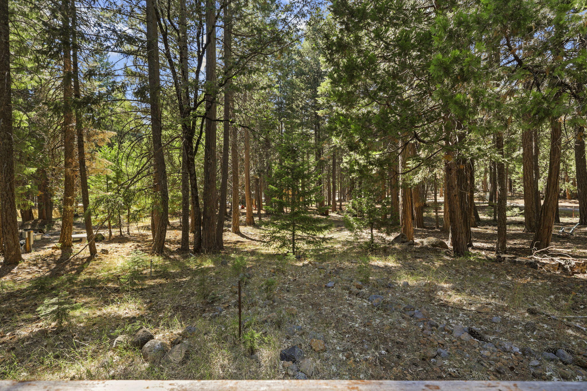 34540 Twin Cedars Road Shingletown, CA 96088 - Photo 37 of 45 Yard