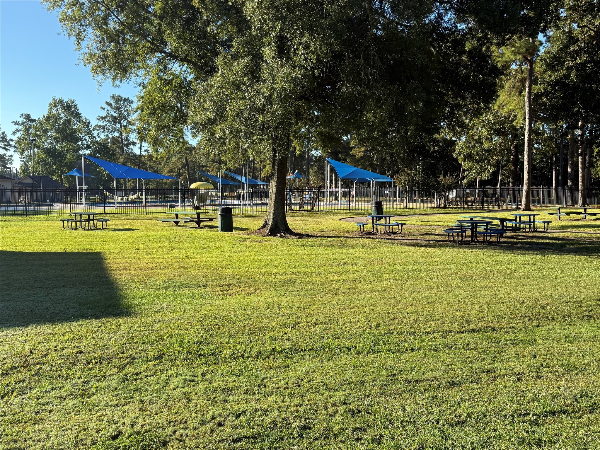 415 Binnacle Way Crosby, TX 77532 - Photo 44 of 50 a view of swimming pool with lawn chairs and large trees
