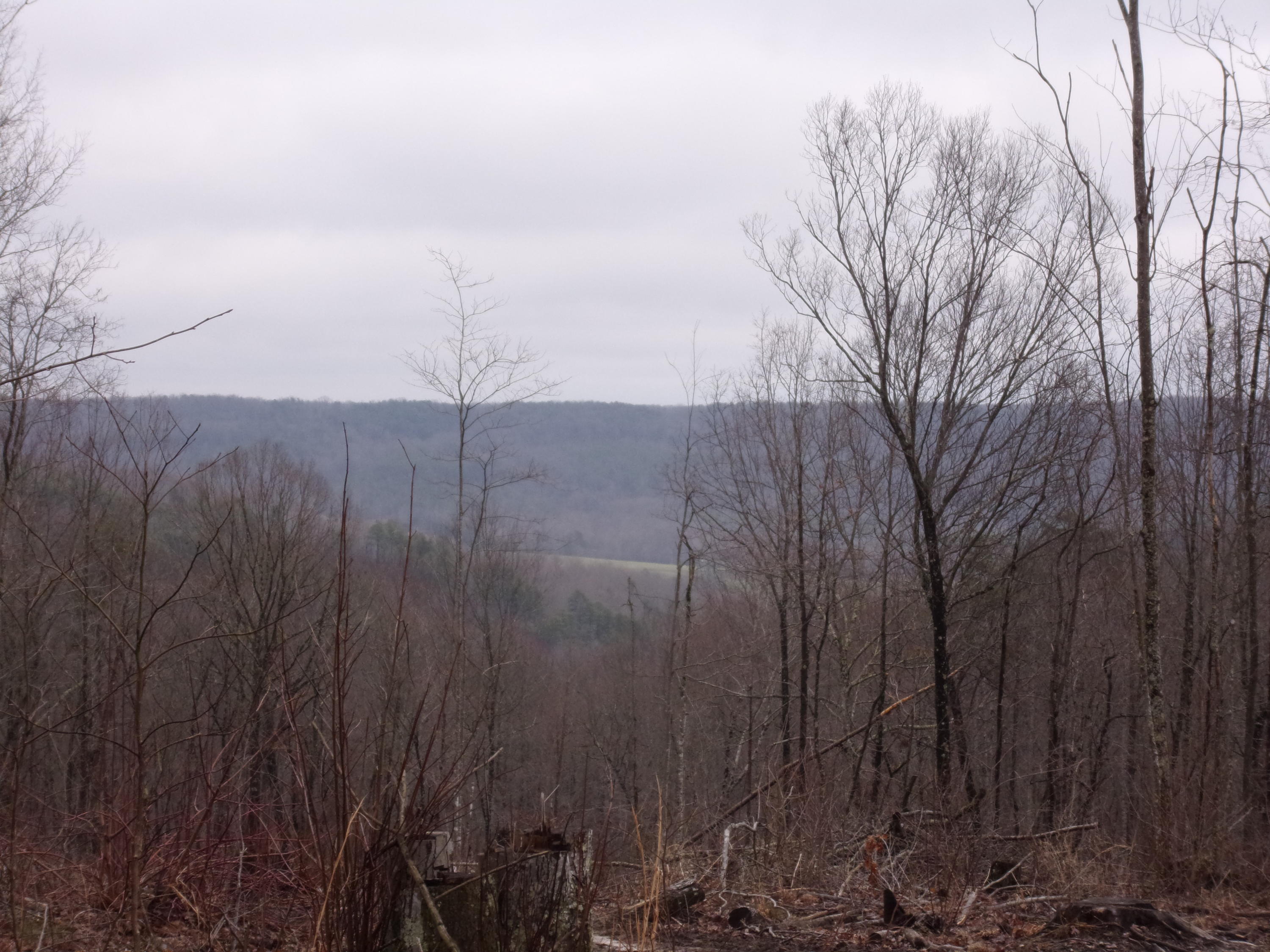 529 Bowater Road Pikeville, TN 37367 - Photo 15 of 61 101_2296