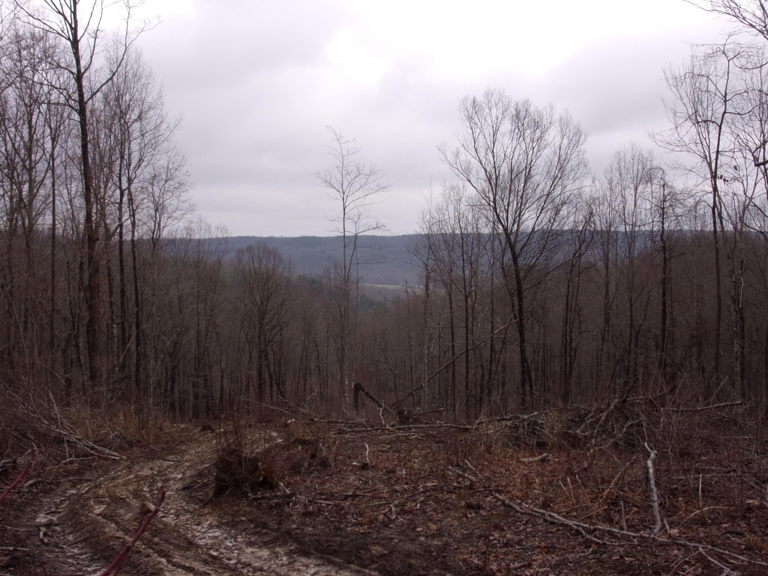 529 Bowater Road Pikeville, TN 37367 - Photo 18 of 61 101_2301