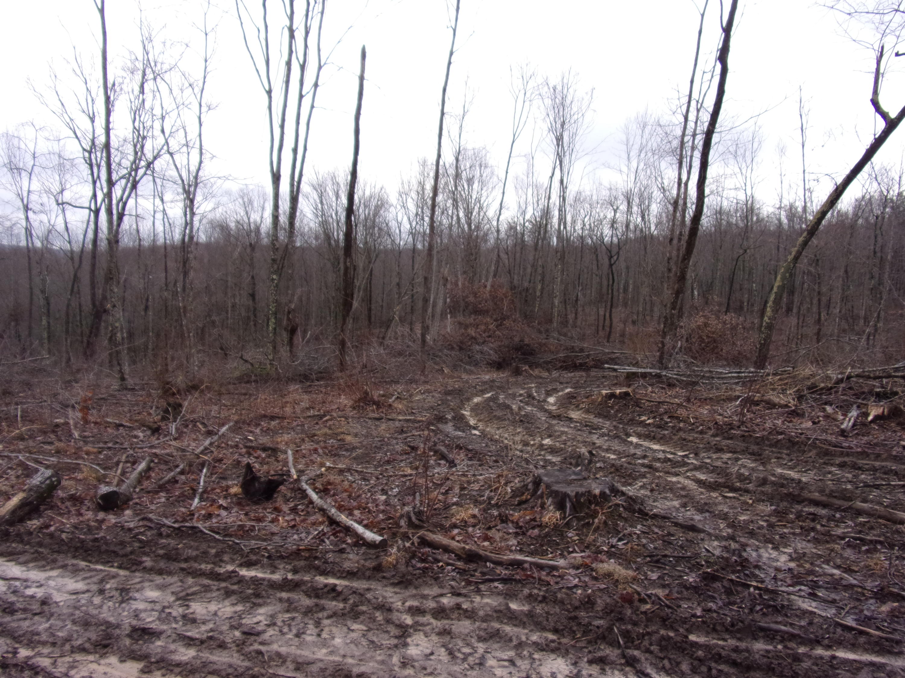 529 Bowater Road Pikeville, TN 37367 - Photo 19 of 61 101_2302