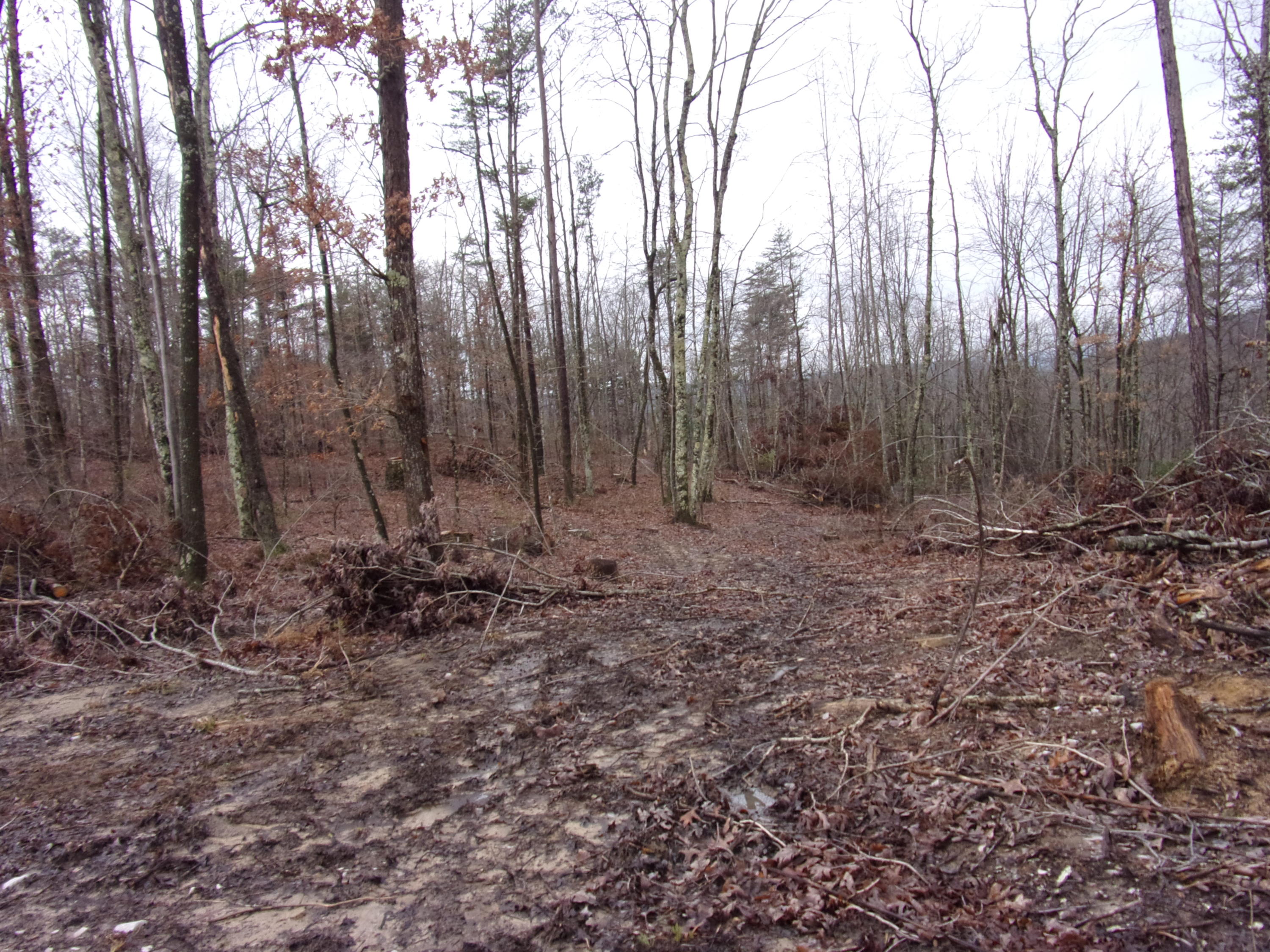 529 Bowater Road Pikeville, TN 37367 - Photo 20 of 61 101_2303