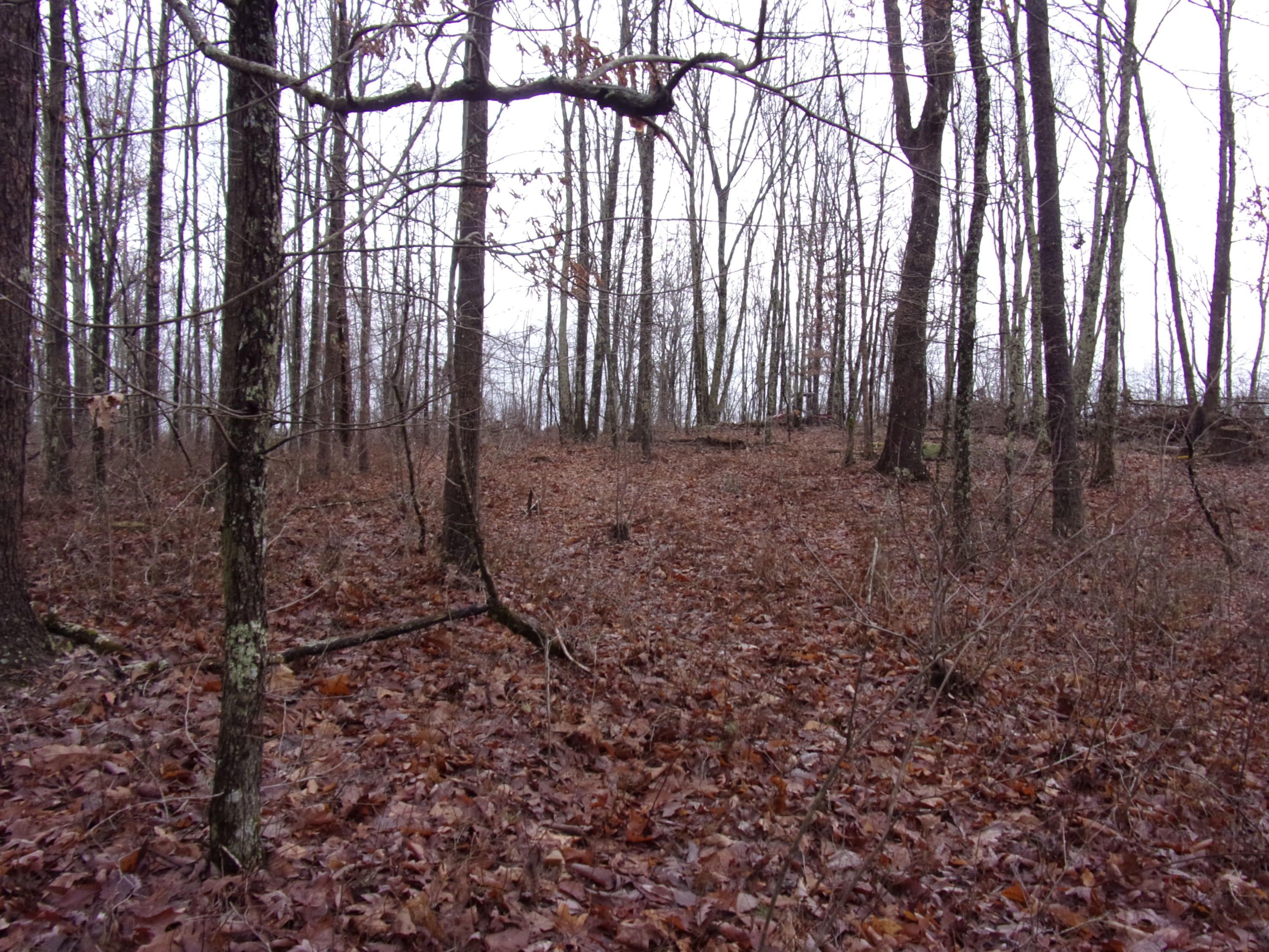 529 Bowater Road Pikeville, TN 37367 - Photo 28 of 61 101_2314