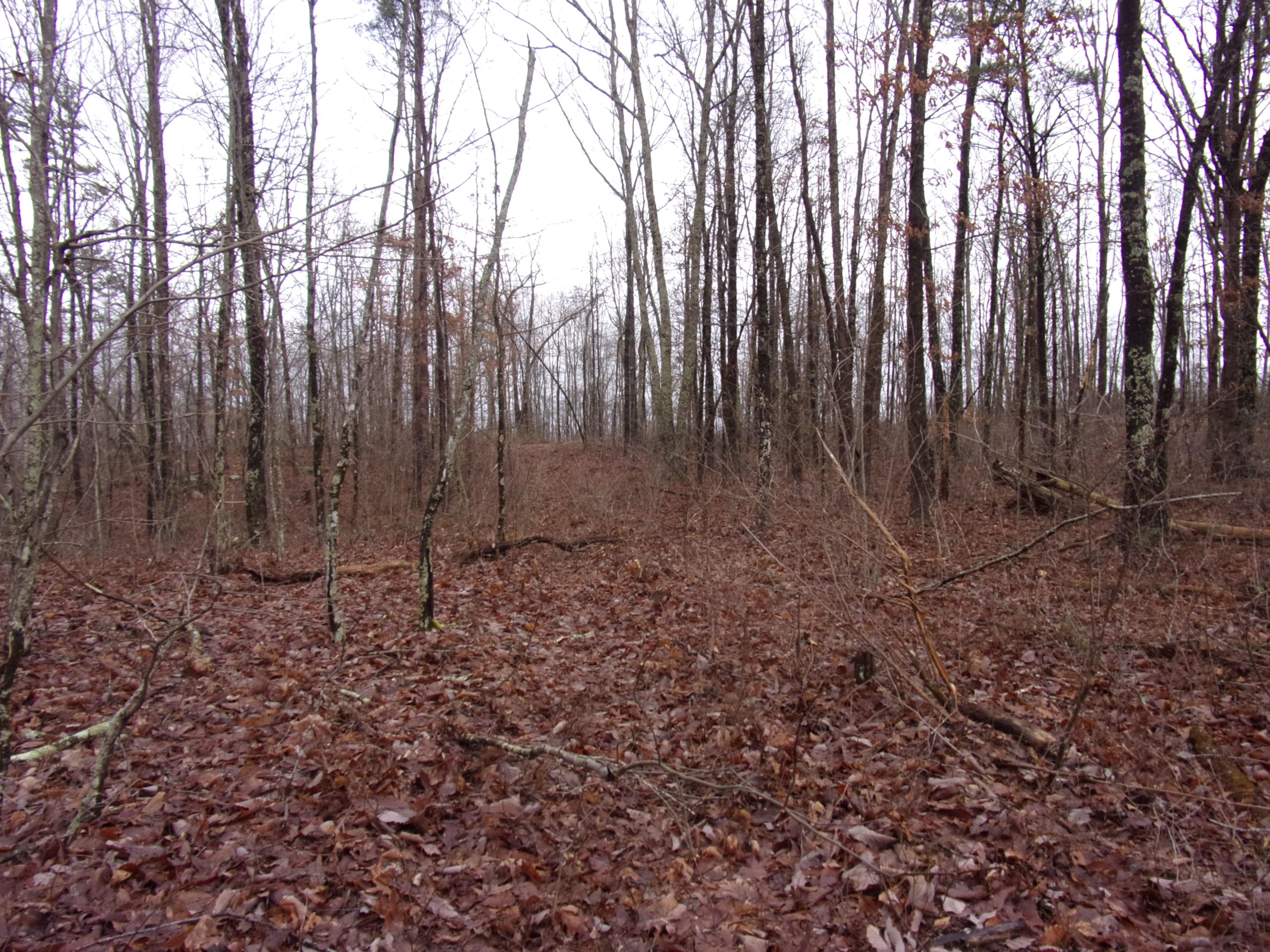 529 Bowater Road Pikeville, TN 37367 - Photo 32 of 61 101_2318