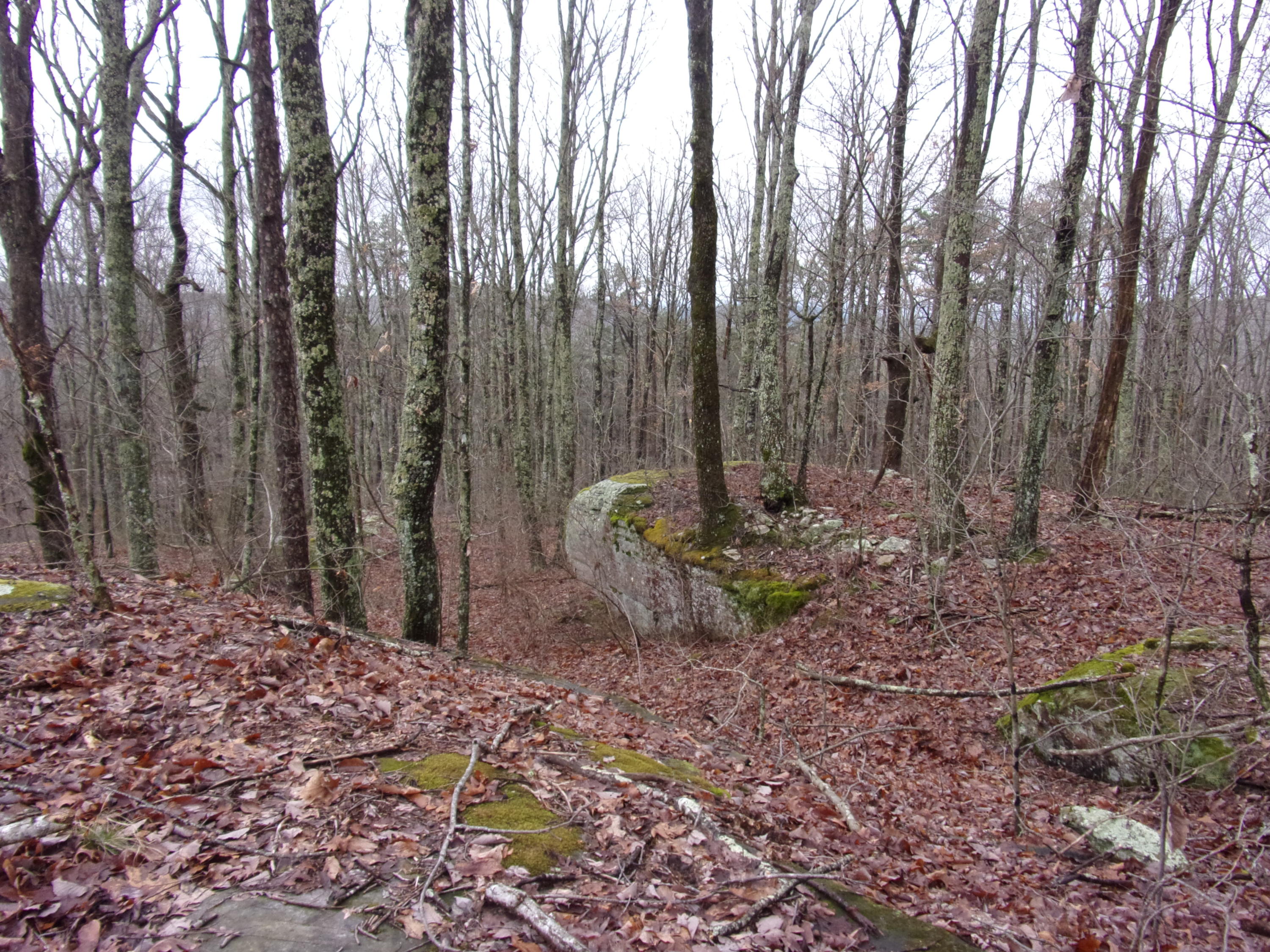529 Bowater Road Pikeville, TN 37367 - Photo 33 of 61 101_2319