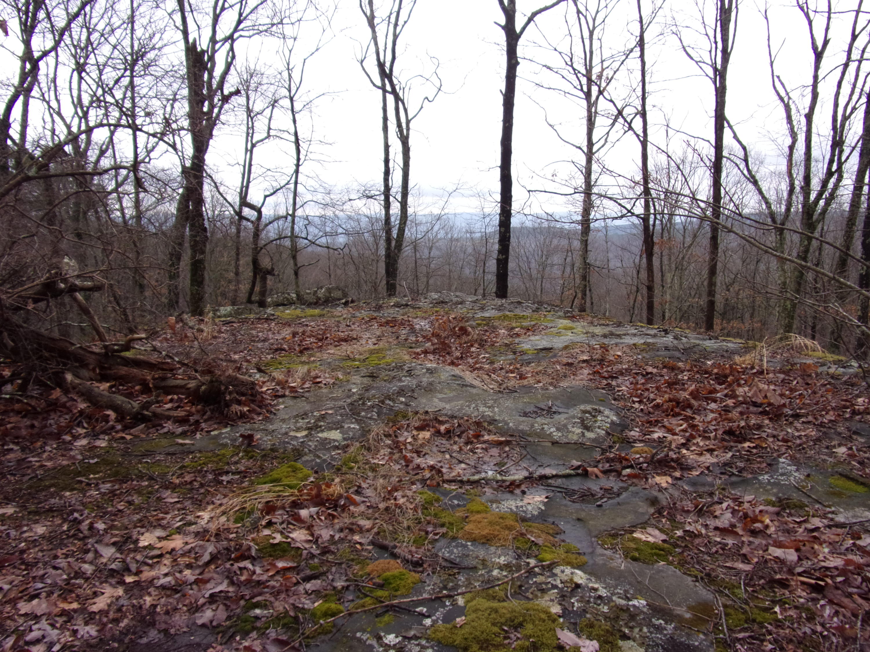 529 Bowater Road Pikeville, TN 37367 - Photo 34 of 61 101_2320