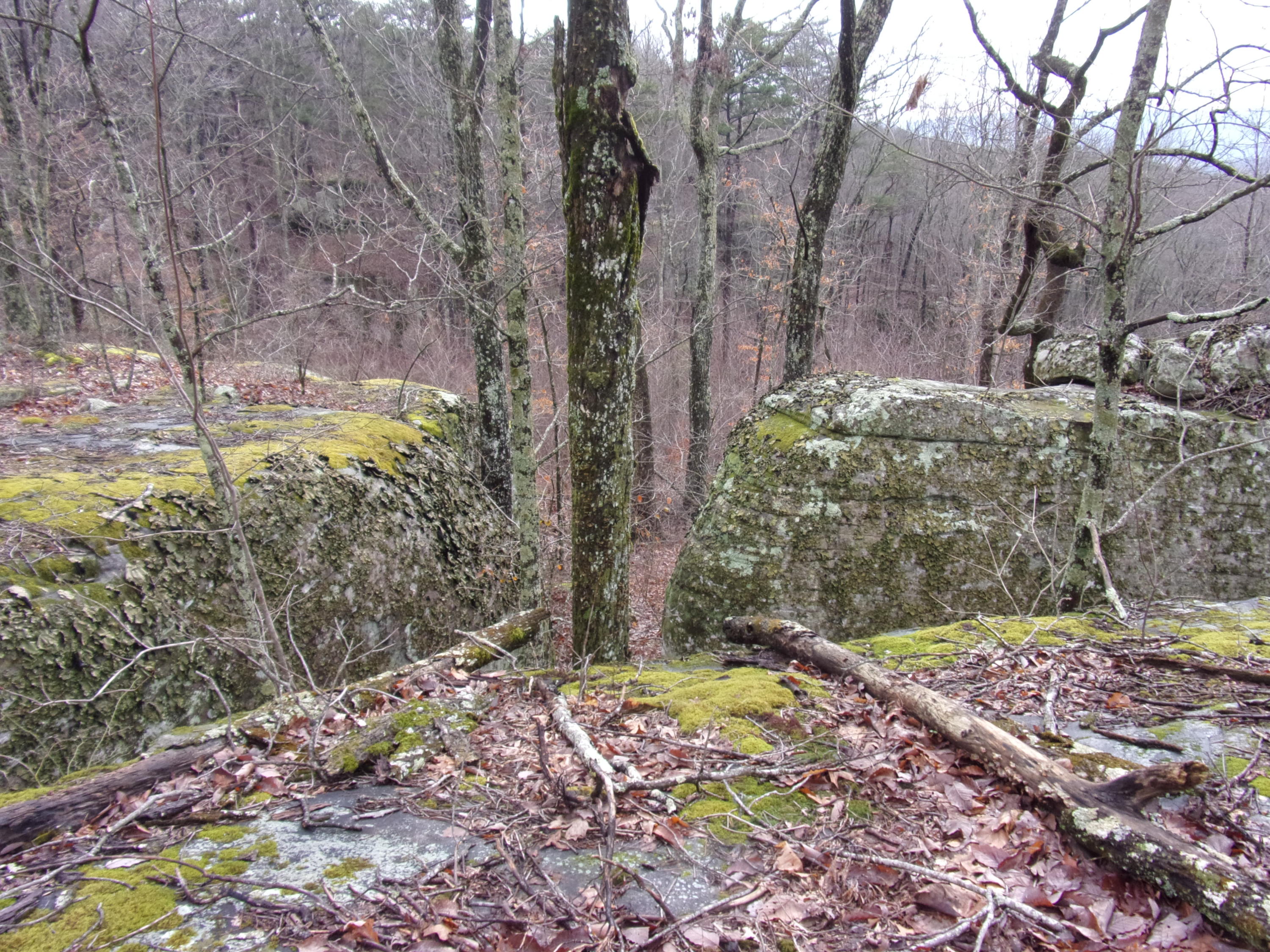 529 Bowater Road Pikeville, TN 37367 - Photo 35 of 61 101_2321
