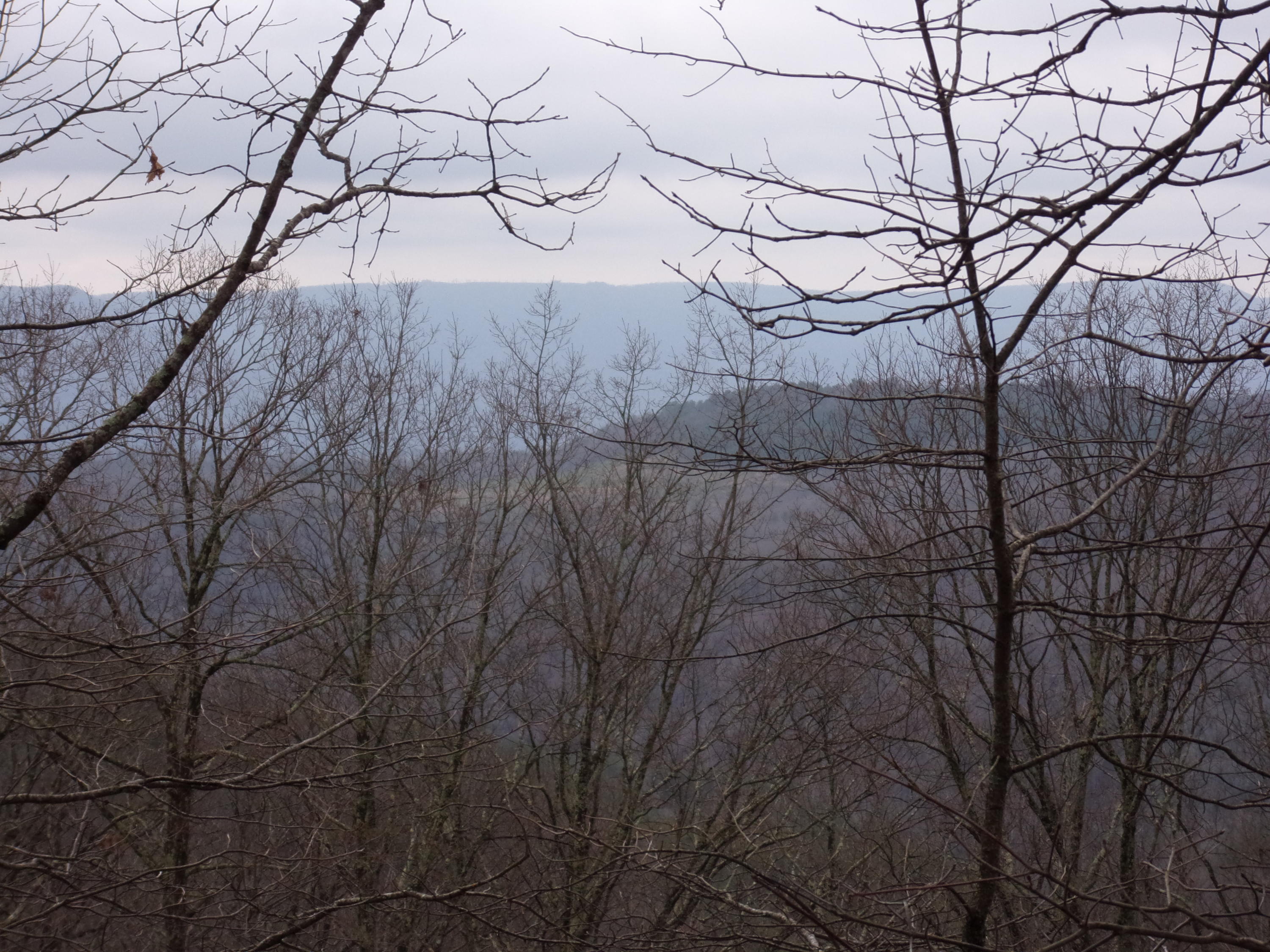 529 Bowater Road Pikeville, TN 37367 - Photo 36 of 61 101_2322