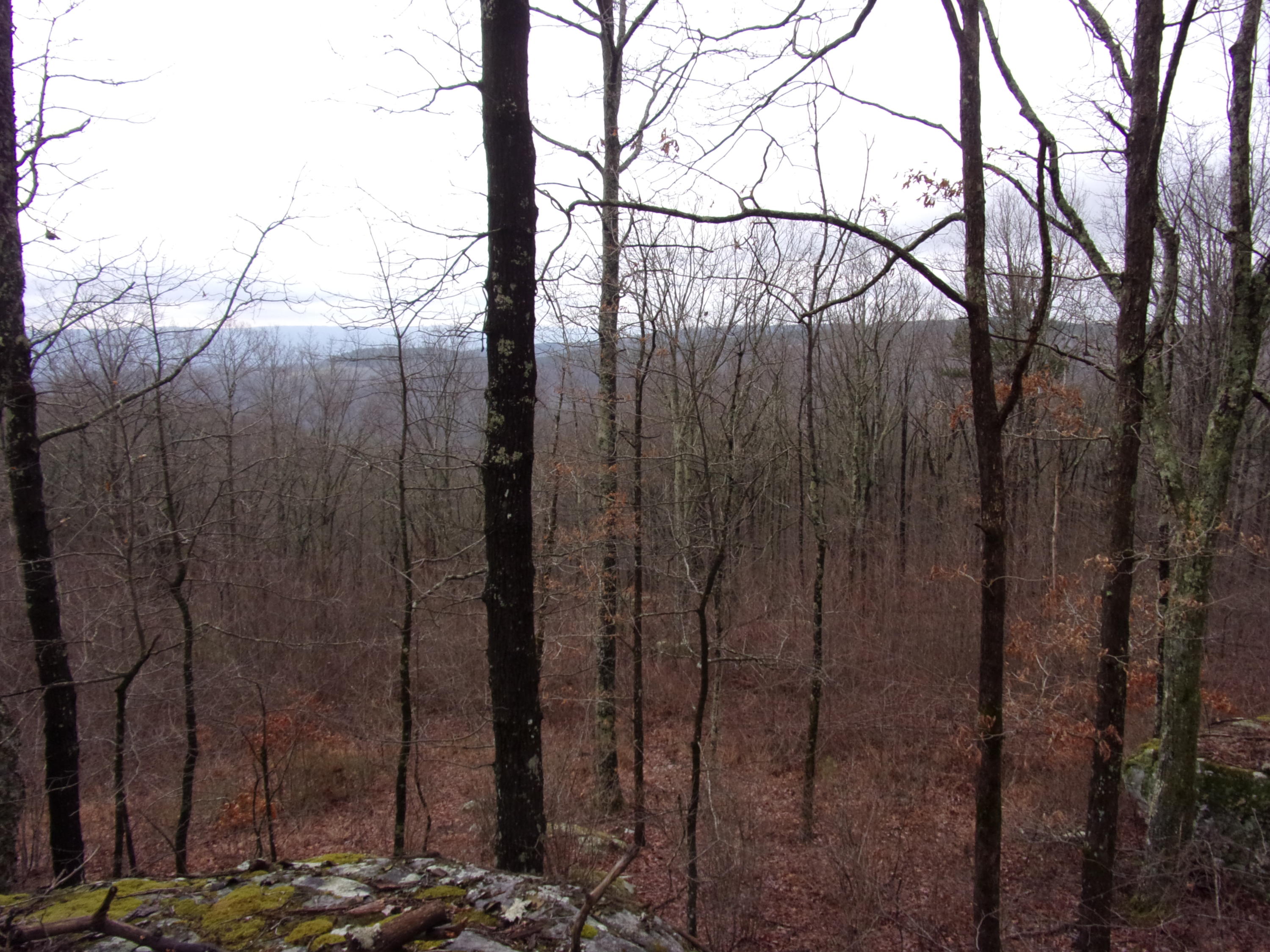 529 Bowater Road Pikeville, TN 37367 - Photo 37 of 61 101_2323