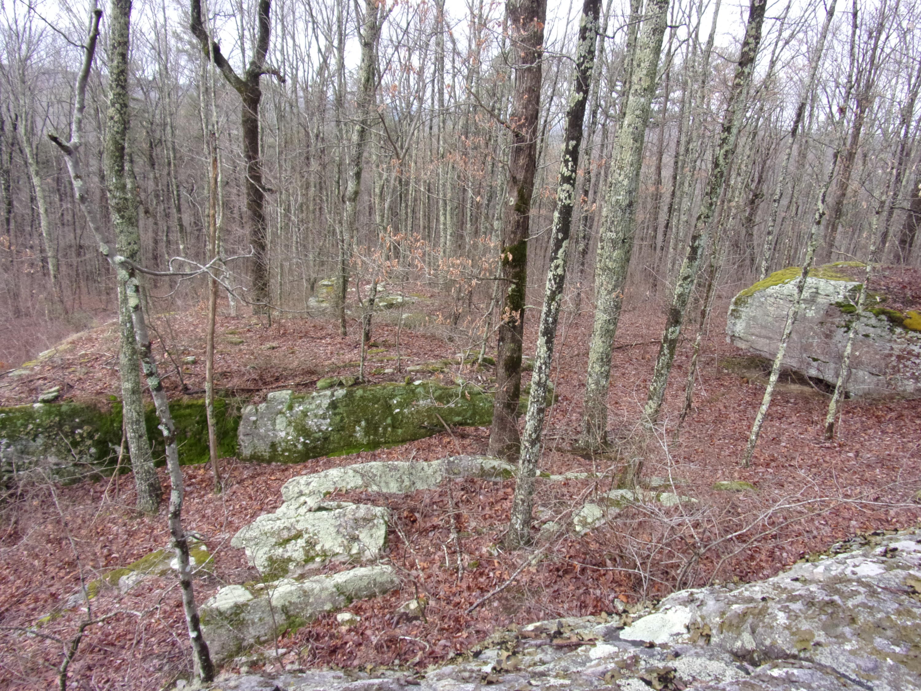 529 Bowater Road Pikeville, TN 37367 - Photo 38 of 61 101_2324