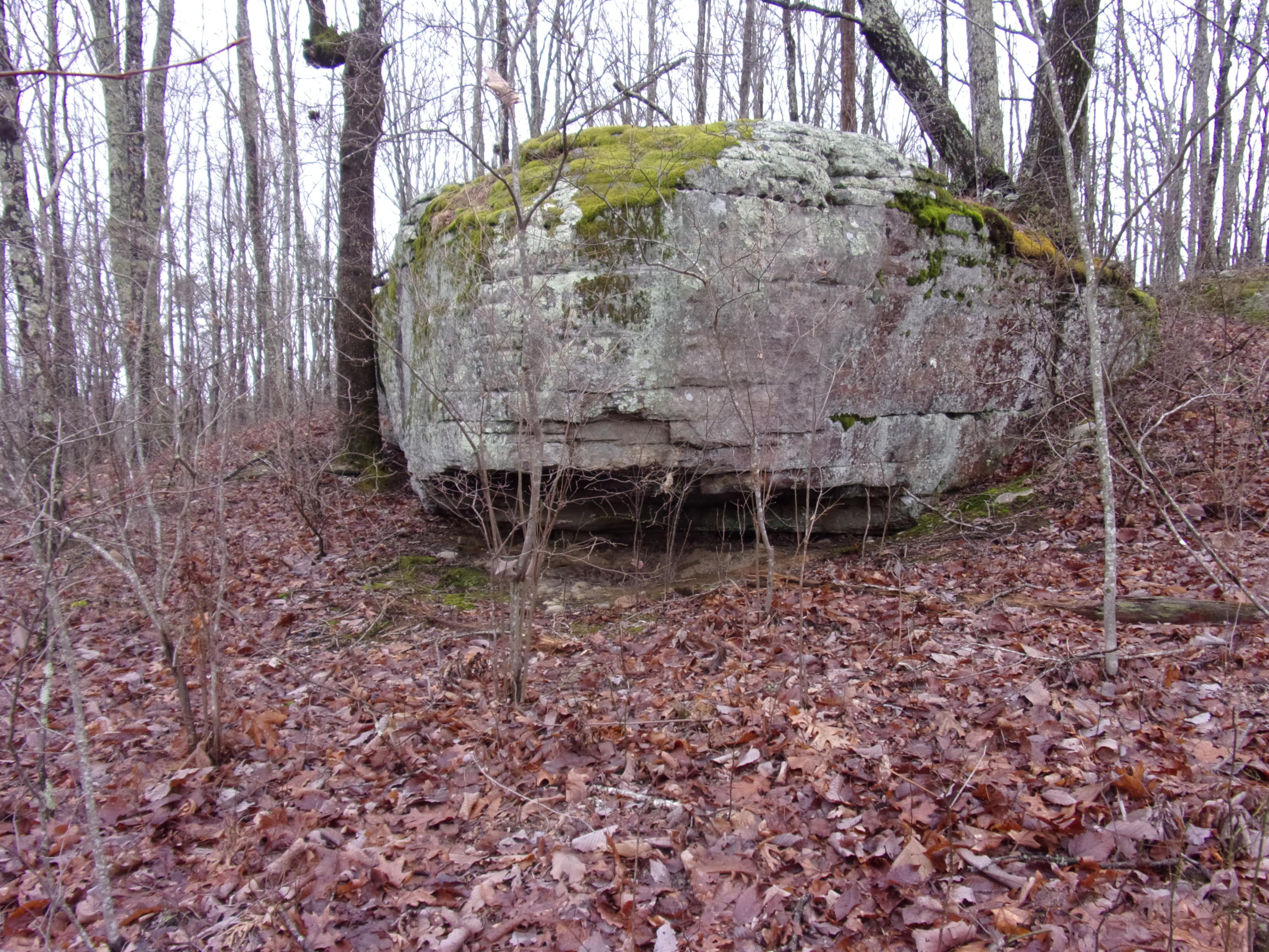 529 Bowater Road Pikeville, TN 37367 - Photo 39 of 61 101_2325