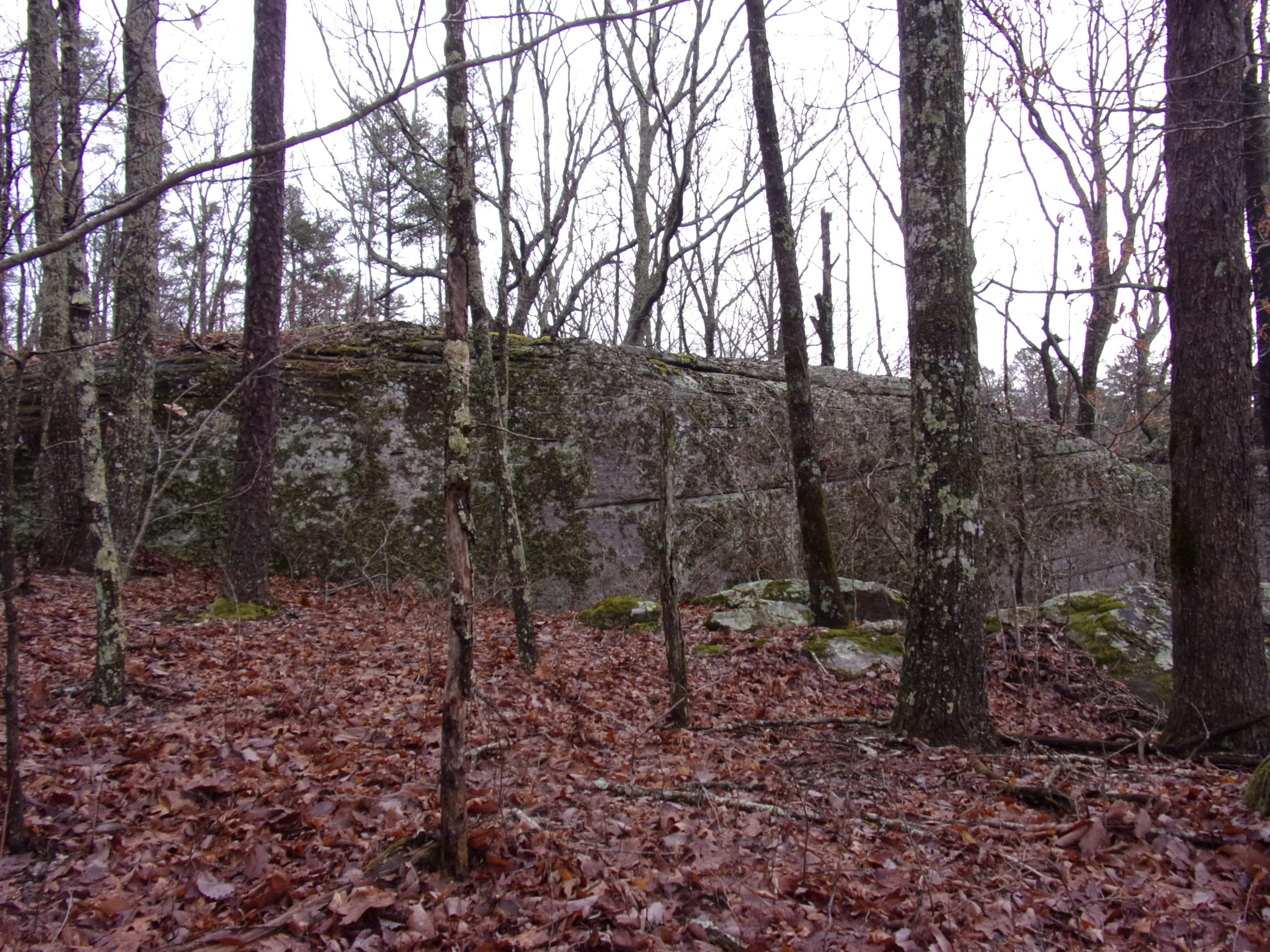 529 Bowater Road Pikeville, TN 37367 - Photo 40 of 61 101_2326