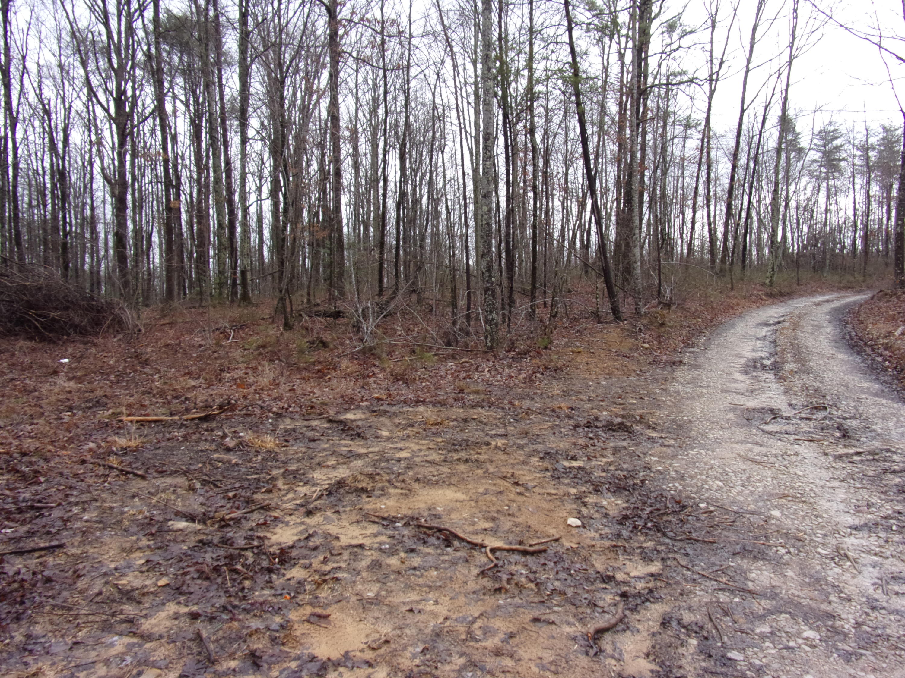 529 Bowater Road Pikeville, TN 37367 - Photo 4 of 61 101_2287