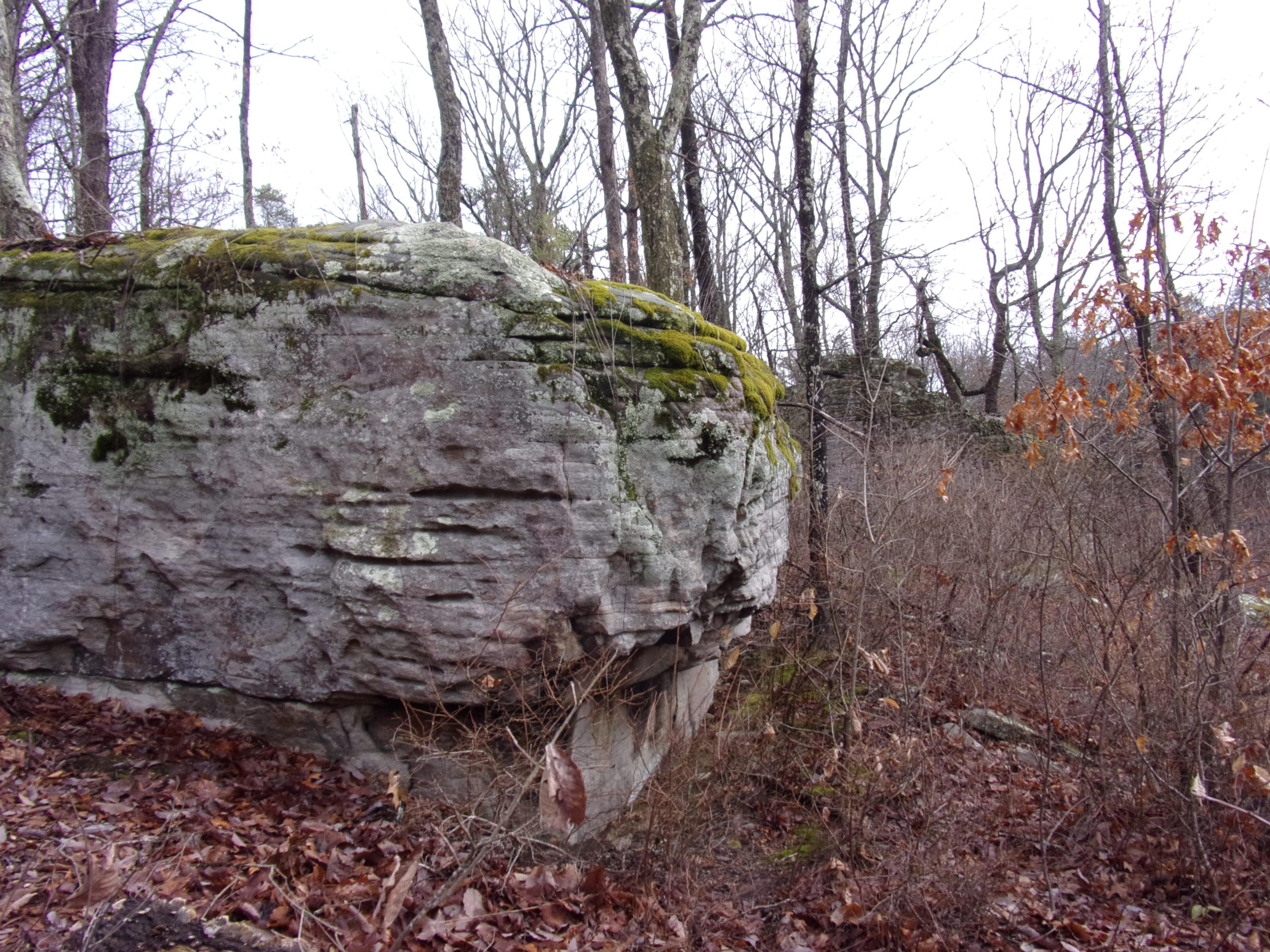 529 Bowater Road Pikeville, TN 37367 - Photo 42 of 61 101_2328