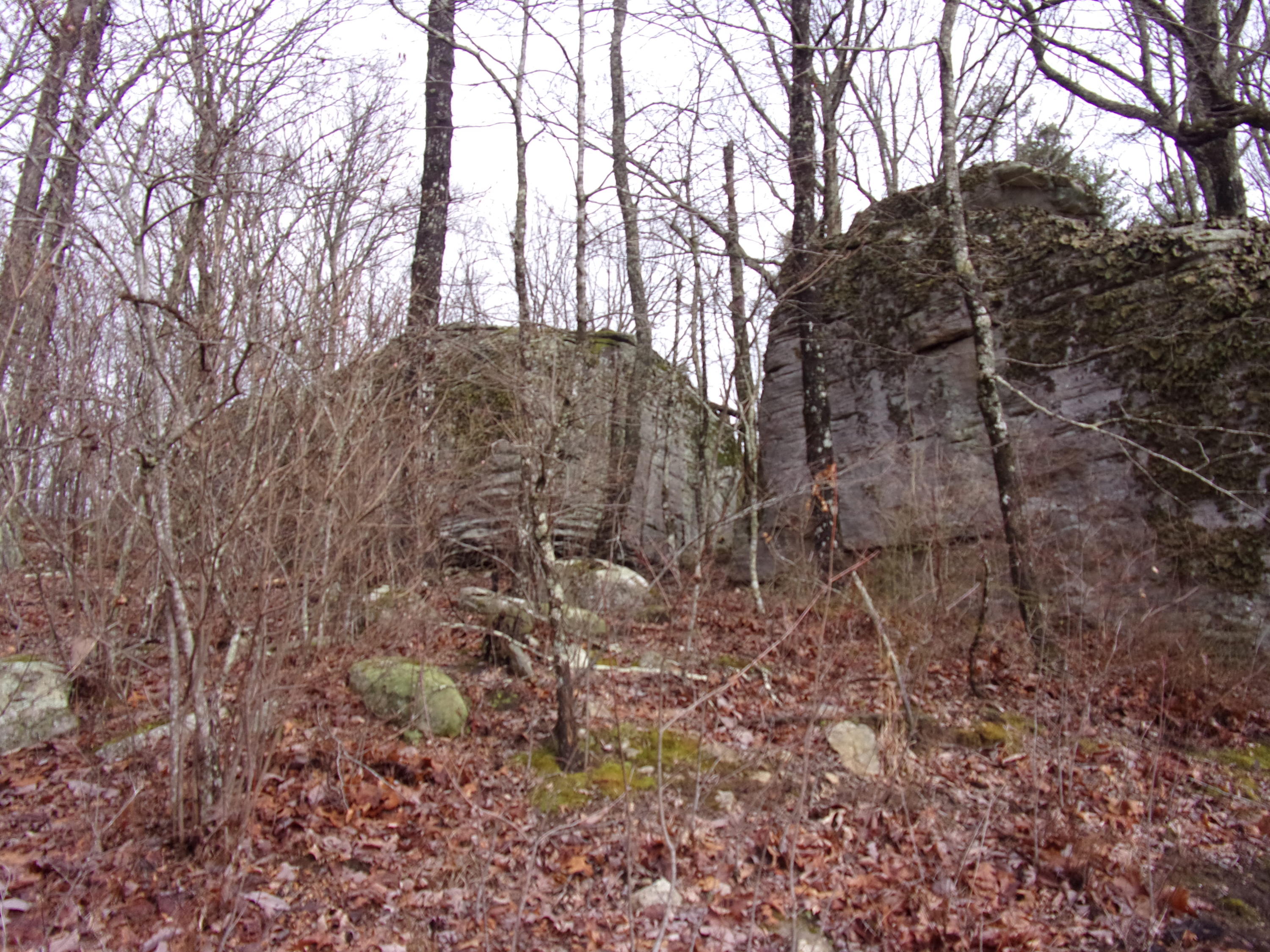 529 Bowater Road Pikeville, TN 37367 - Photo 43 of 61 101_2330