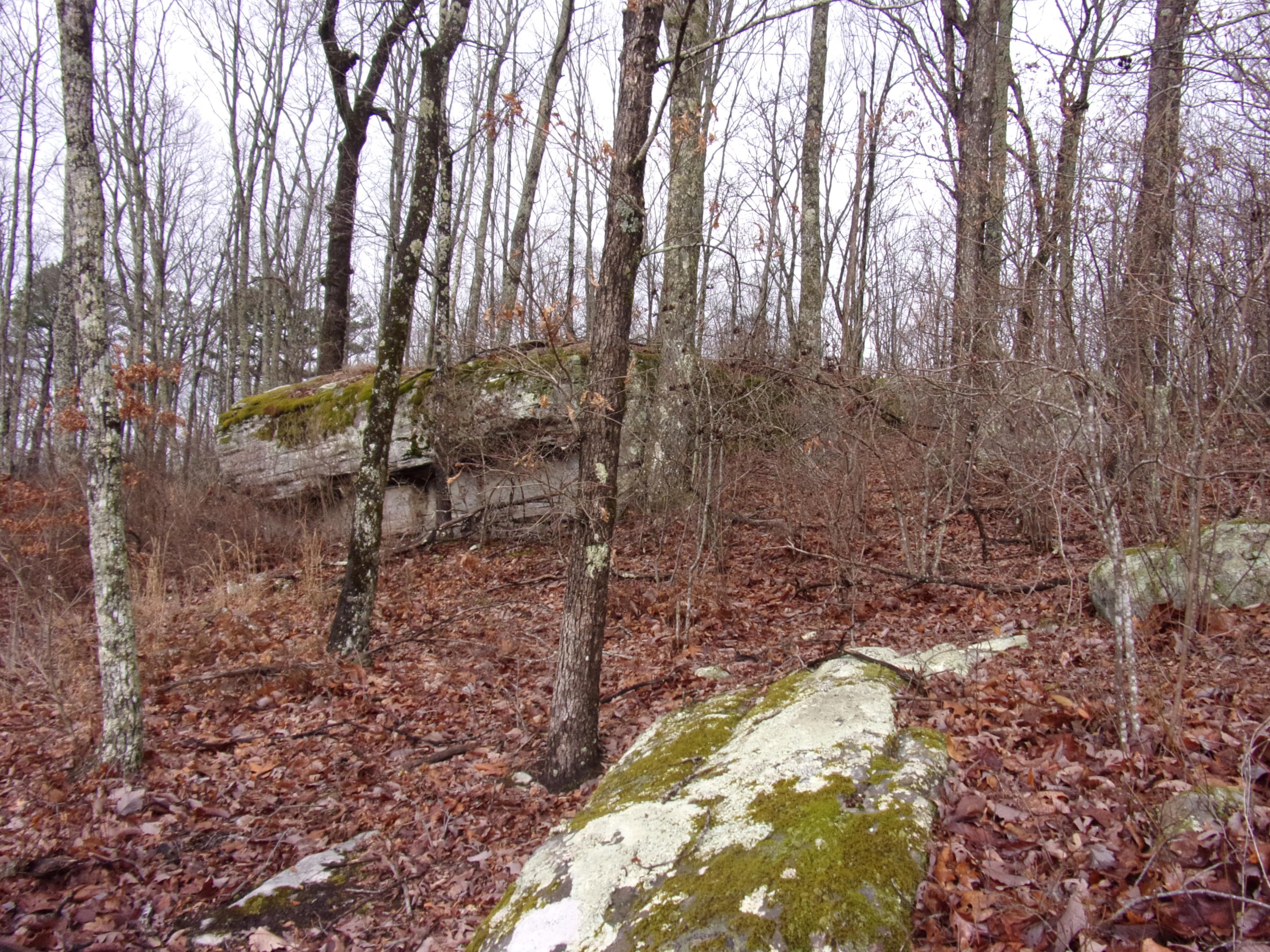 529 Bowater Road Pikeville, TN 37367 - Photo 44 of 61 101_2331