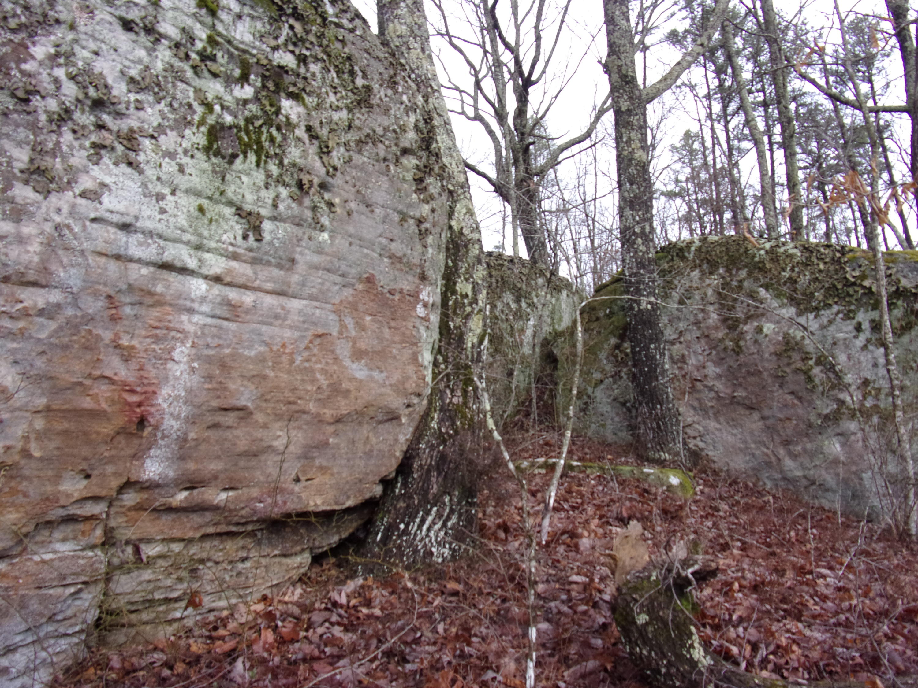529 Bowater Road Pikeville, TN 37367 - Photo 45 of 61 101_2332