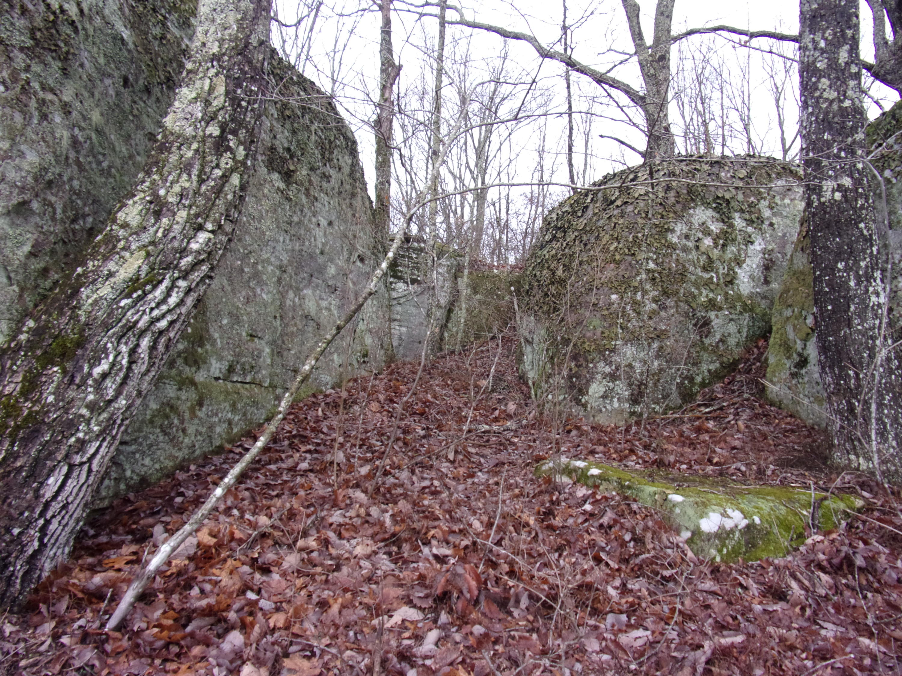 529 Bowater Road Pikeville, TN 37367 - Photo 46 of 61 101_2333