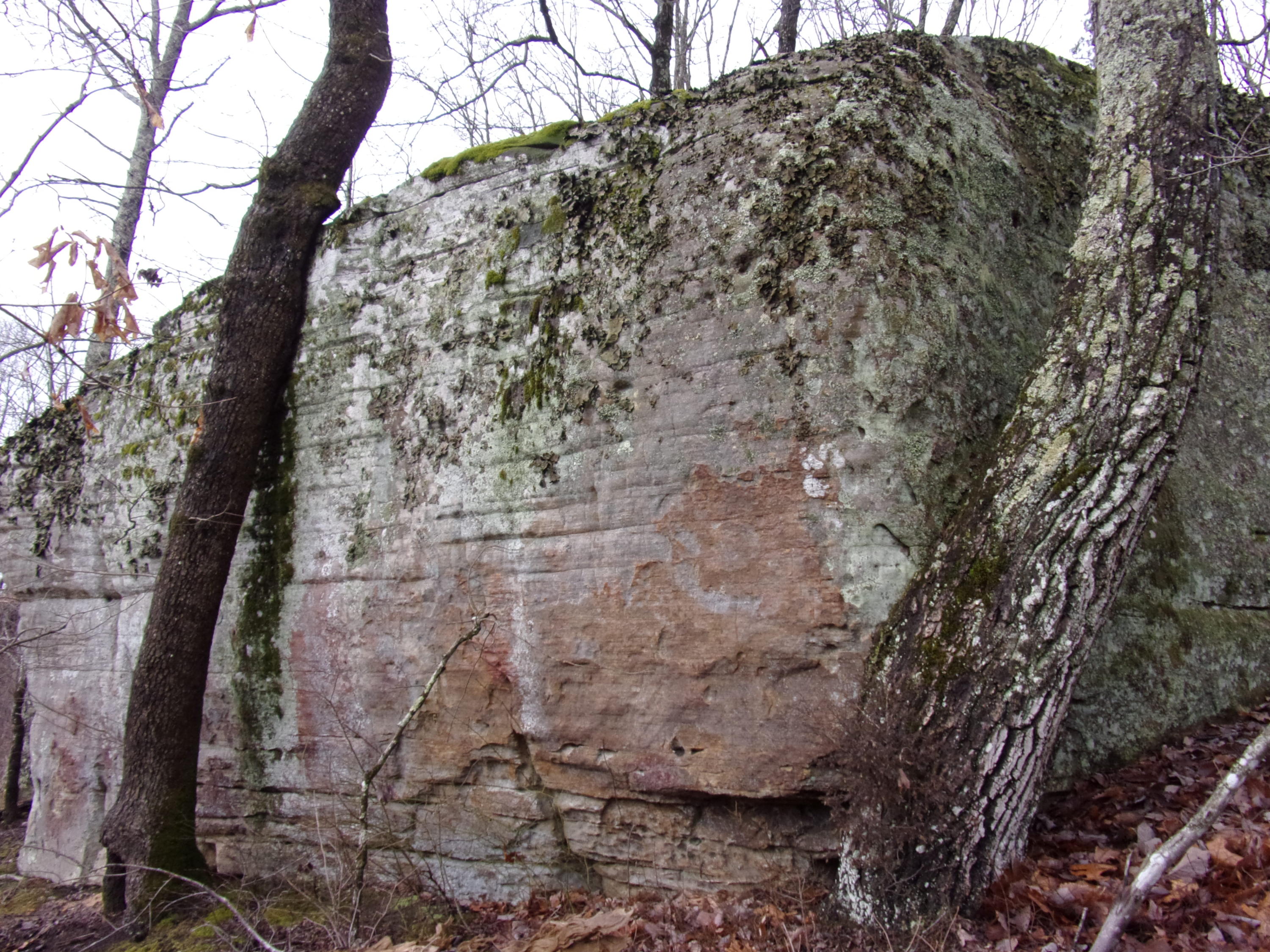 529 Bowater Road Pikeville, TN 37367 - Photo 47 of 61 101_2334