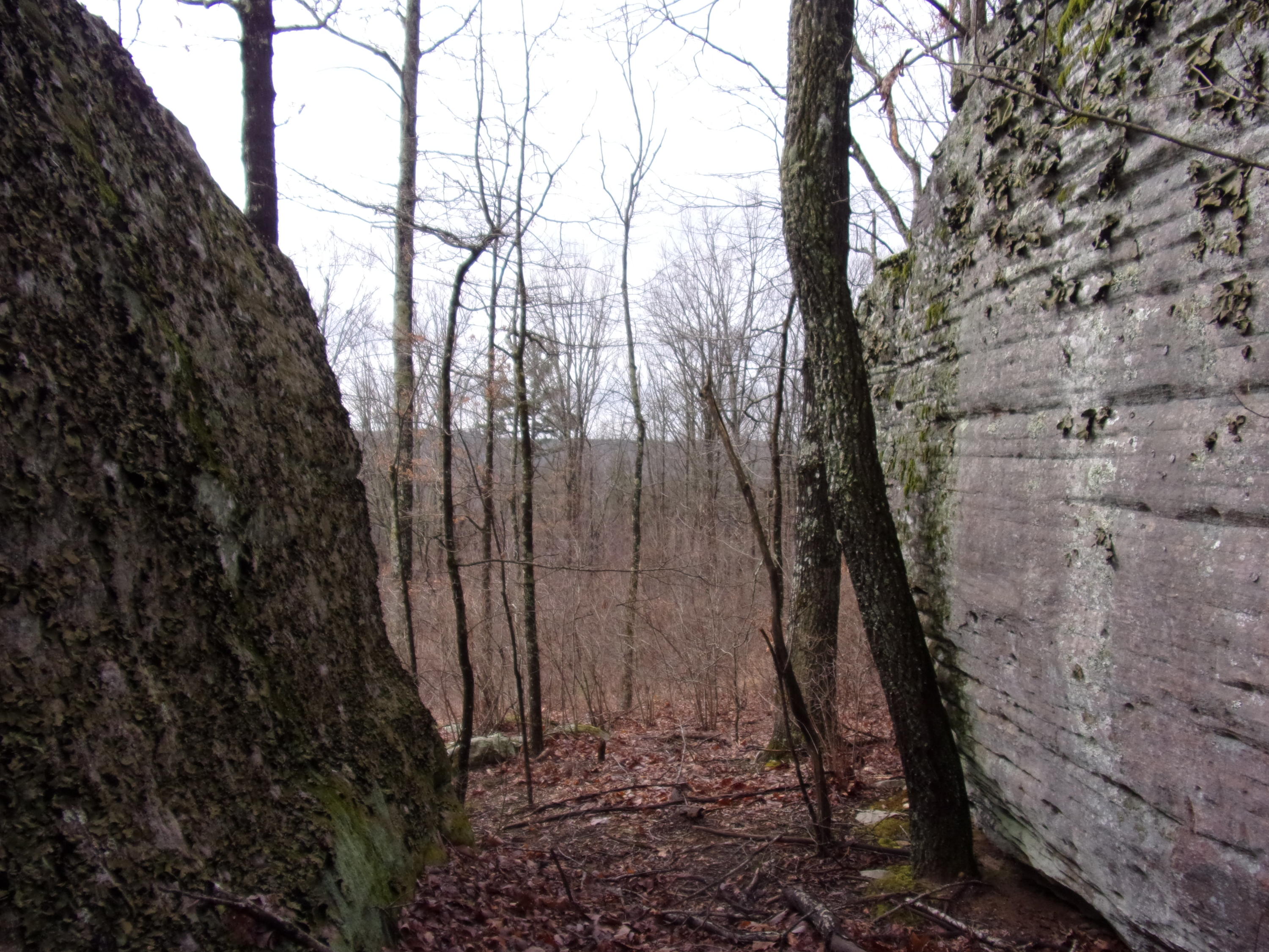 529 Bowater Road Pikeville, TN 37367 - Photo 48 of 61 101_2335