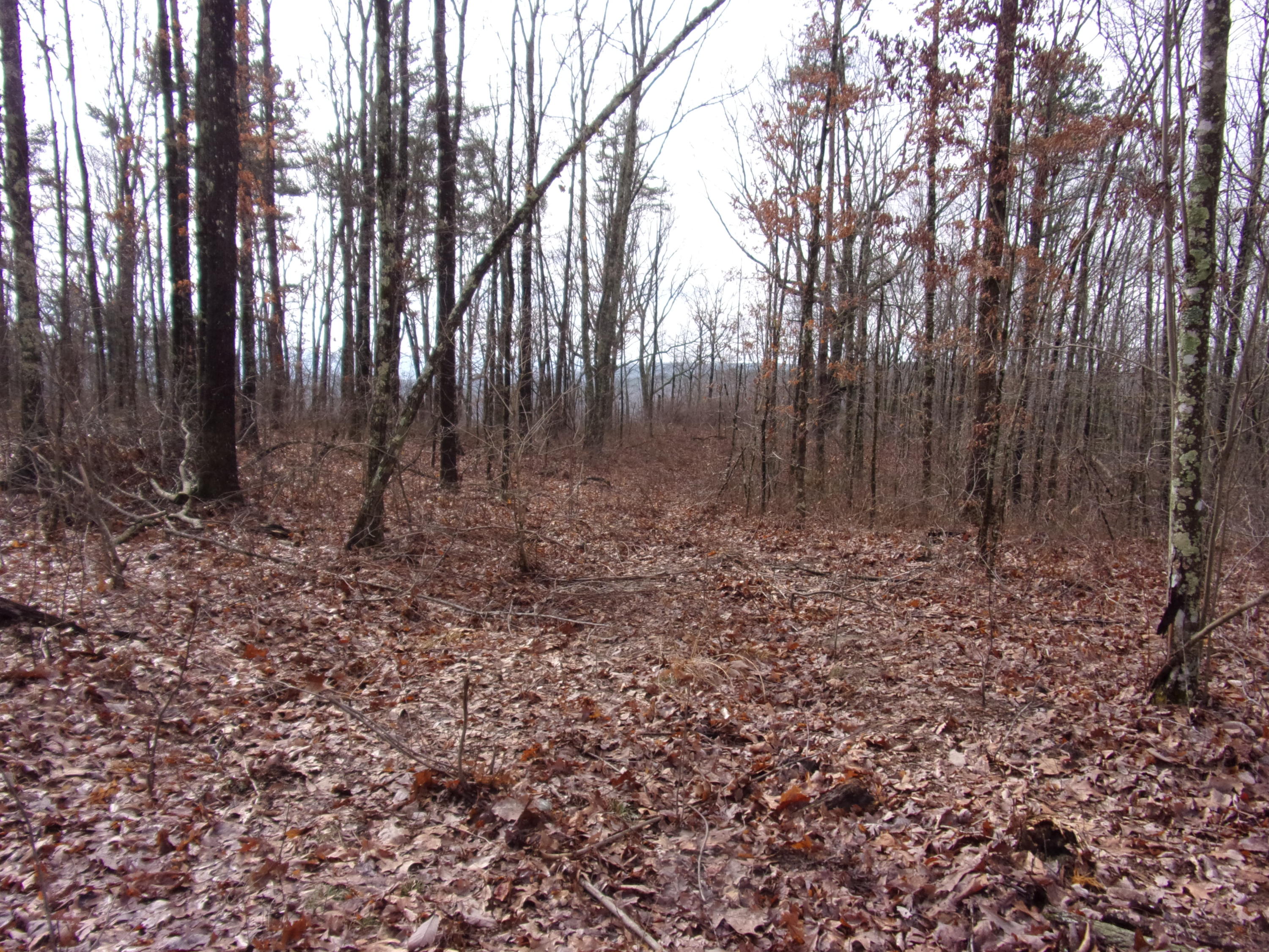 529 Bowater Road Pikeville, TN 37367 - Photo 51 of 61 101_2338