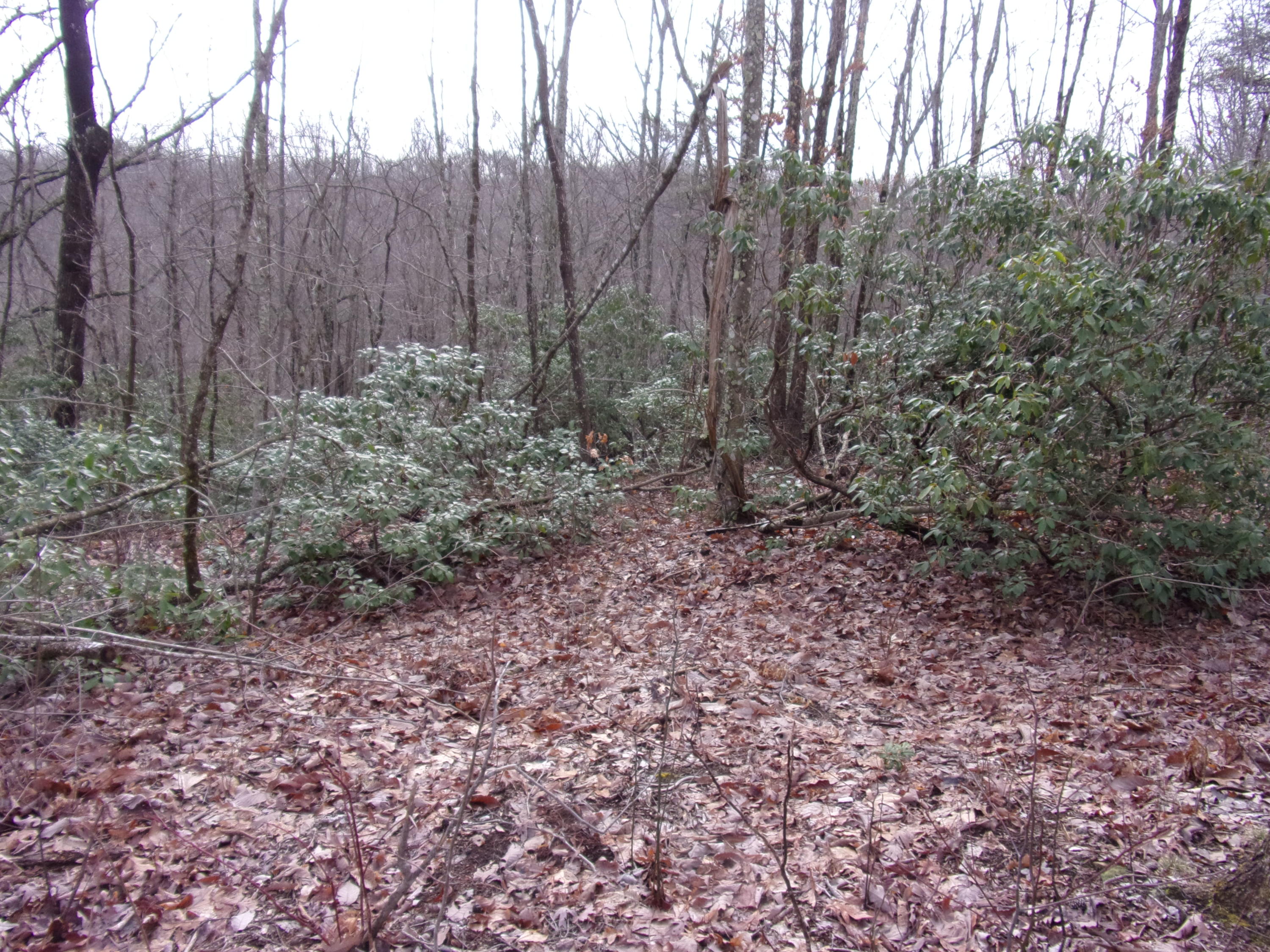 529 Bowater Road Pikeville, TN 37367 - Photo 53 of 61 101_2342