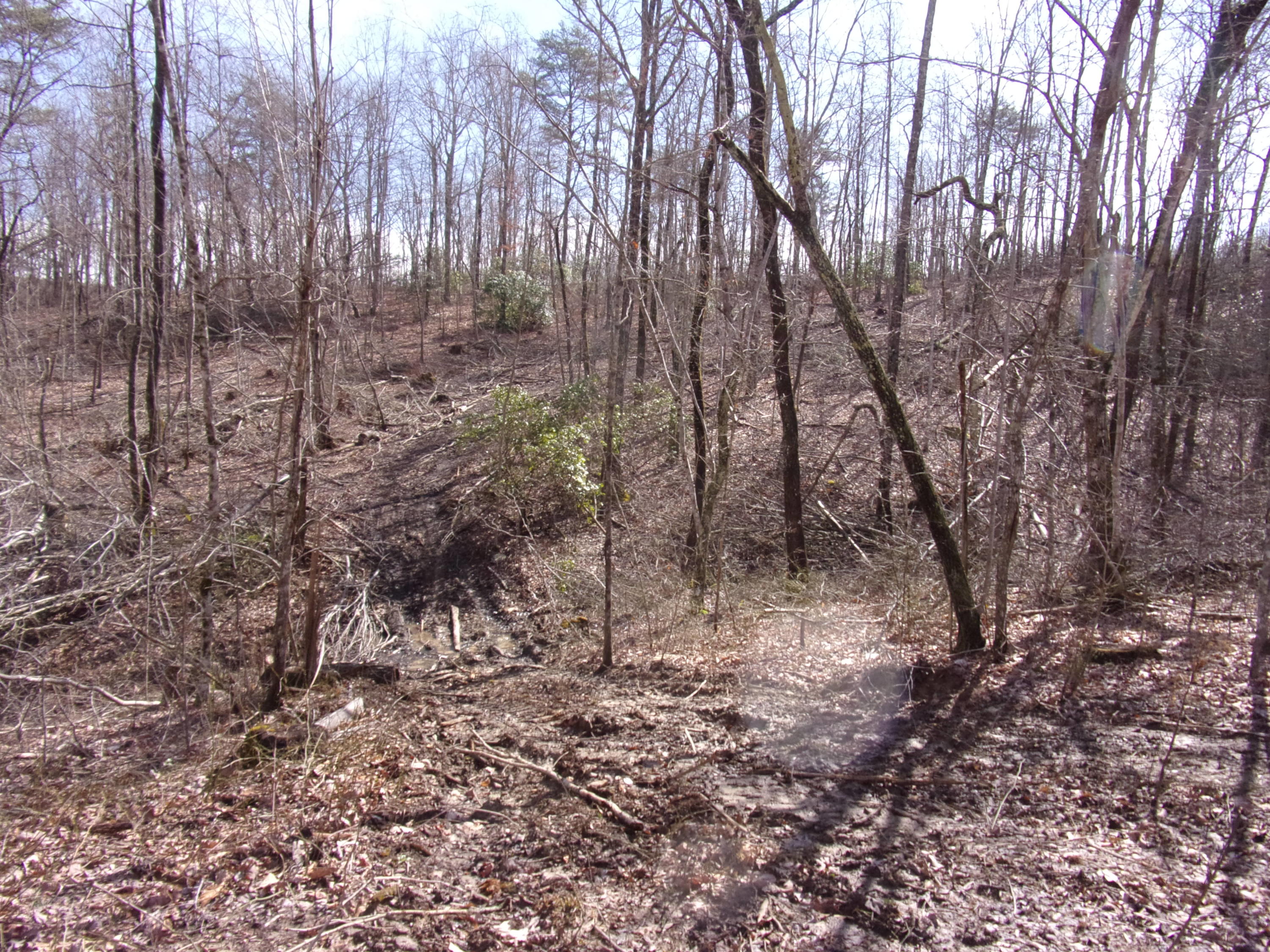 529 Bowater Road Pikeville, TN 37367 - Photo 57 of 61 101_2350