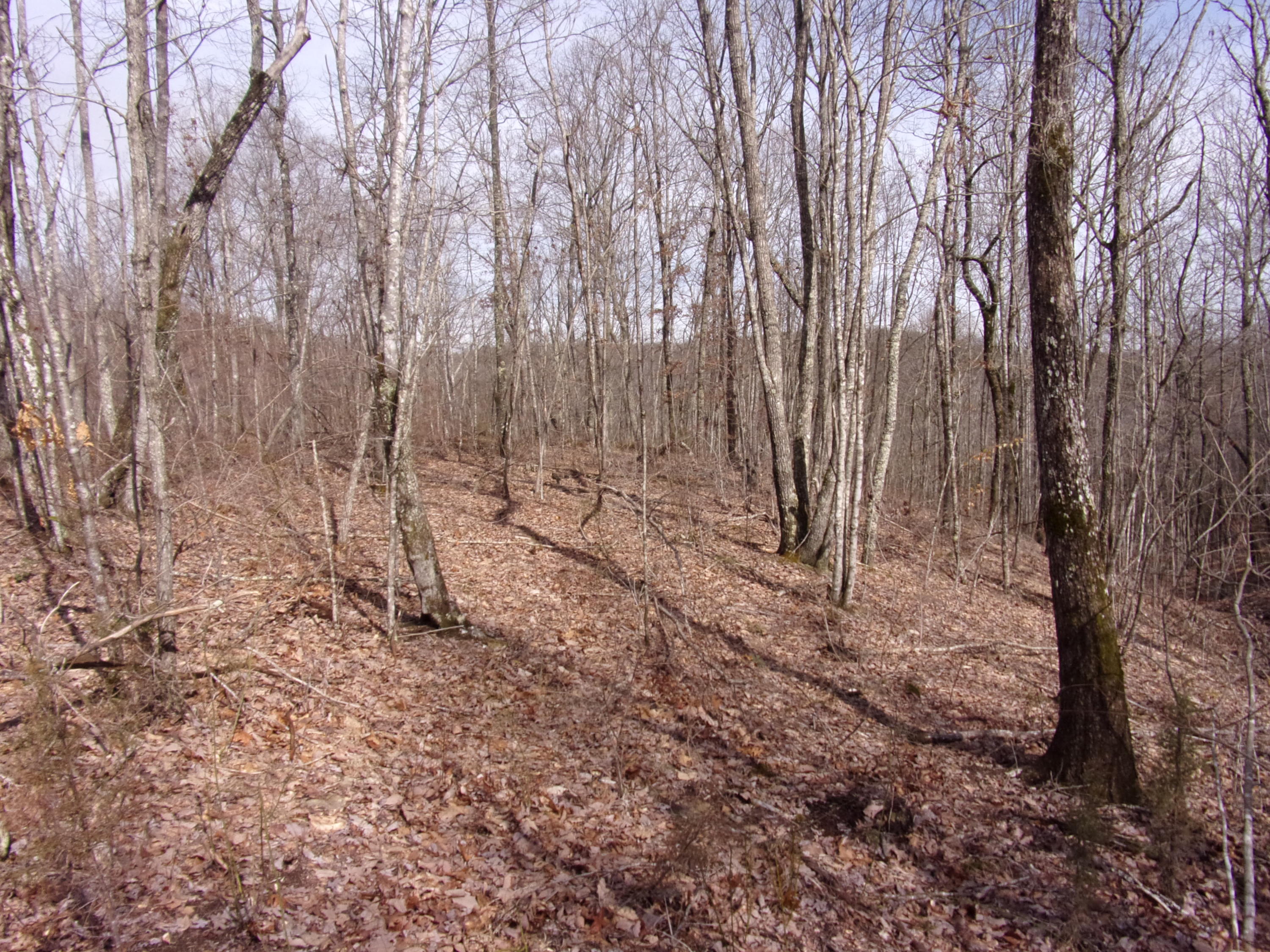 529 Bowater Road Pikeville, TN 37367 - Photo 60 of 61 101_2353
