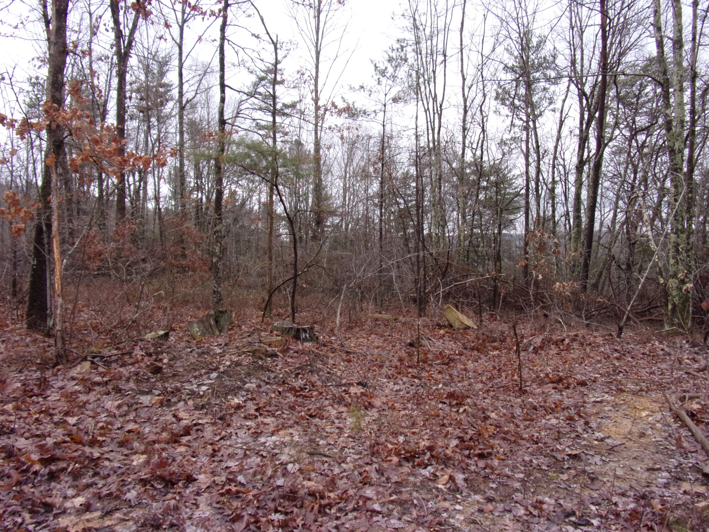 529 Bowater Road Pikeville, TN 37367 - Photo 6 of 61 101_2288