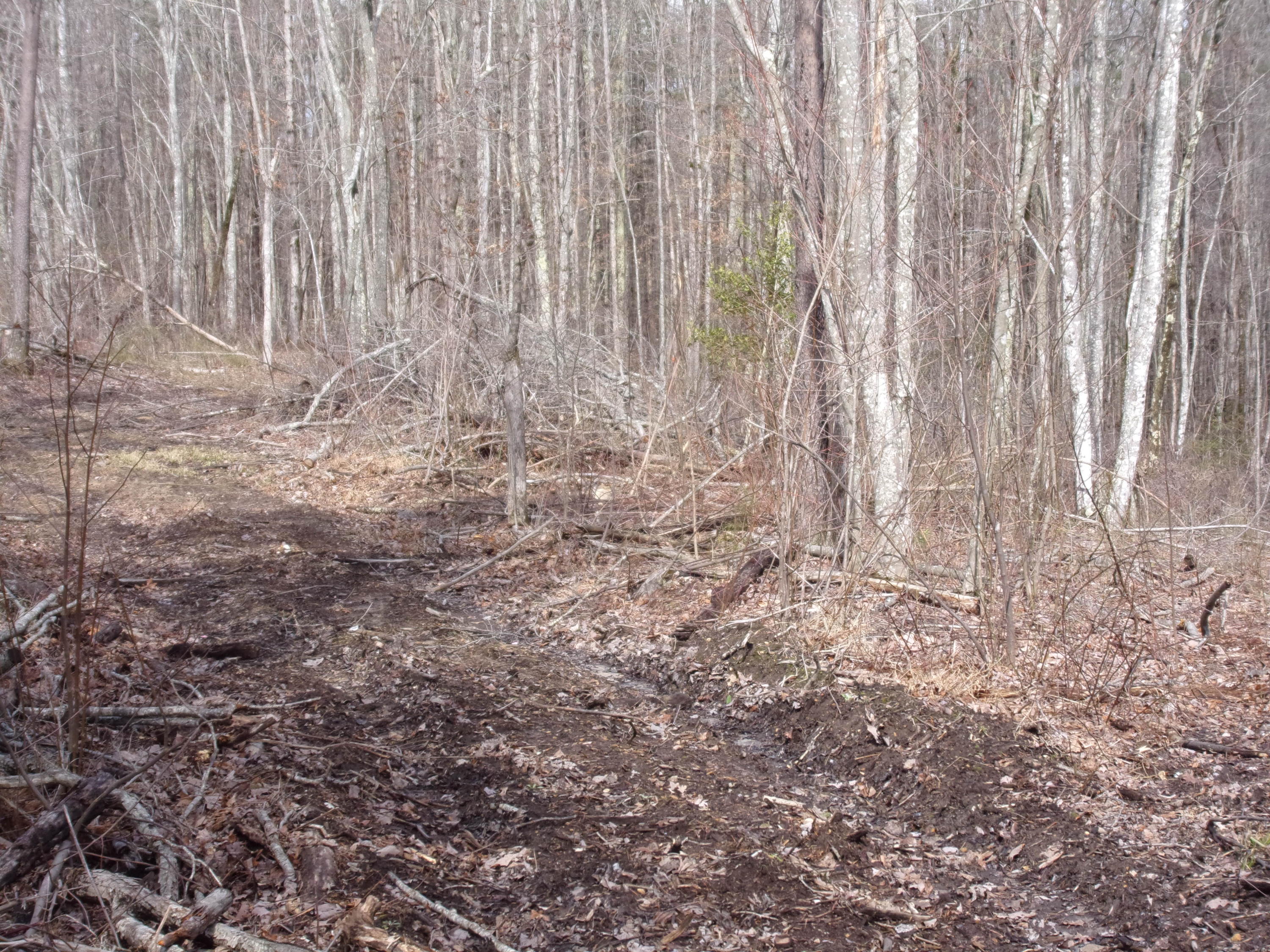 529 Bowater Road Pikeville, TN 37367 - Photo 61 of 61 101_2354