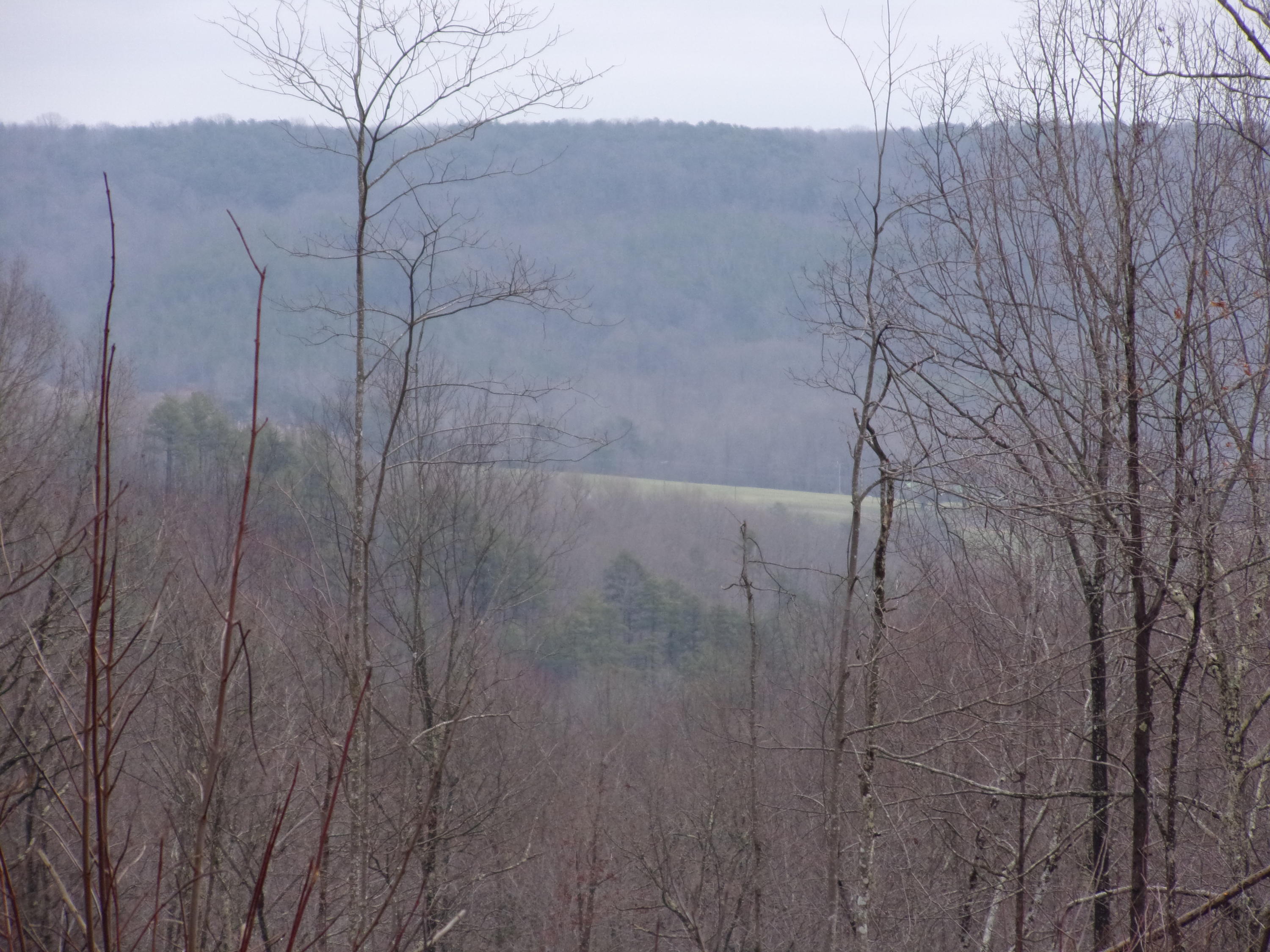 529 Bowater Road Pikeville, TN 37367 - Photo 7 of 61 101_2299