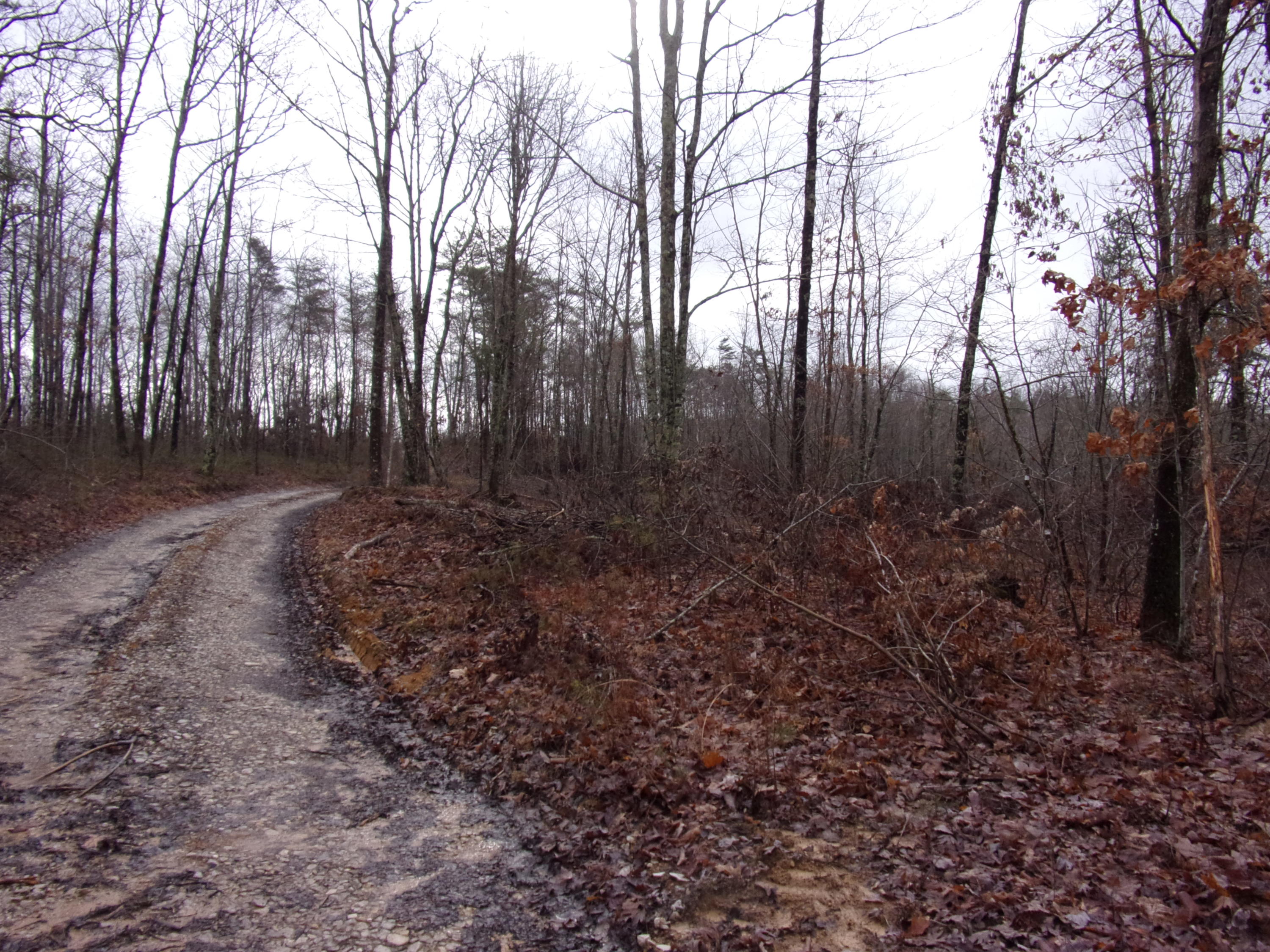 529 Bowater Road Pikeville, TN 37367 - Photo 8 of 61 101_2289