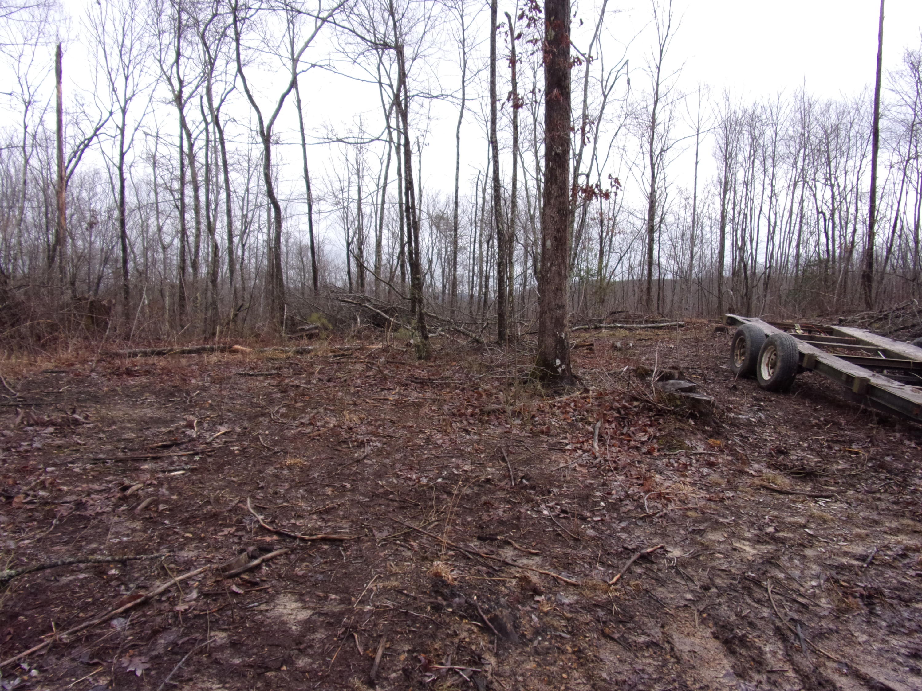 529 Bowater Road Pikeville, TN 37367 - Photo 10 of 61 101_2290