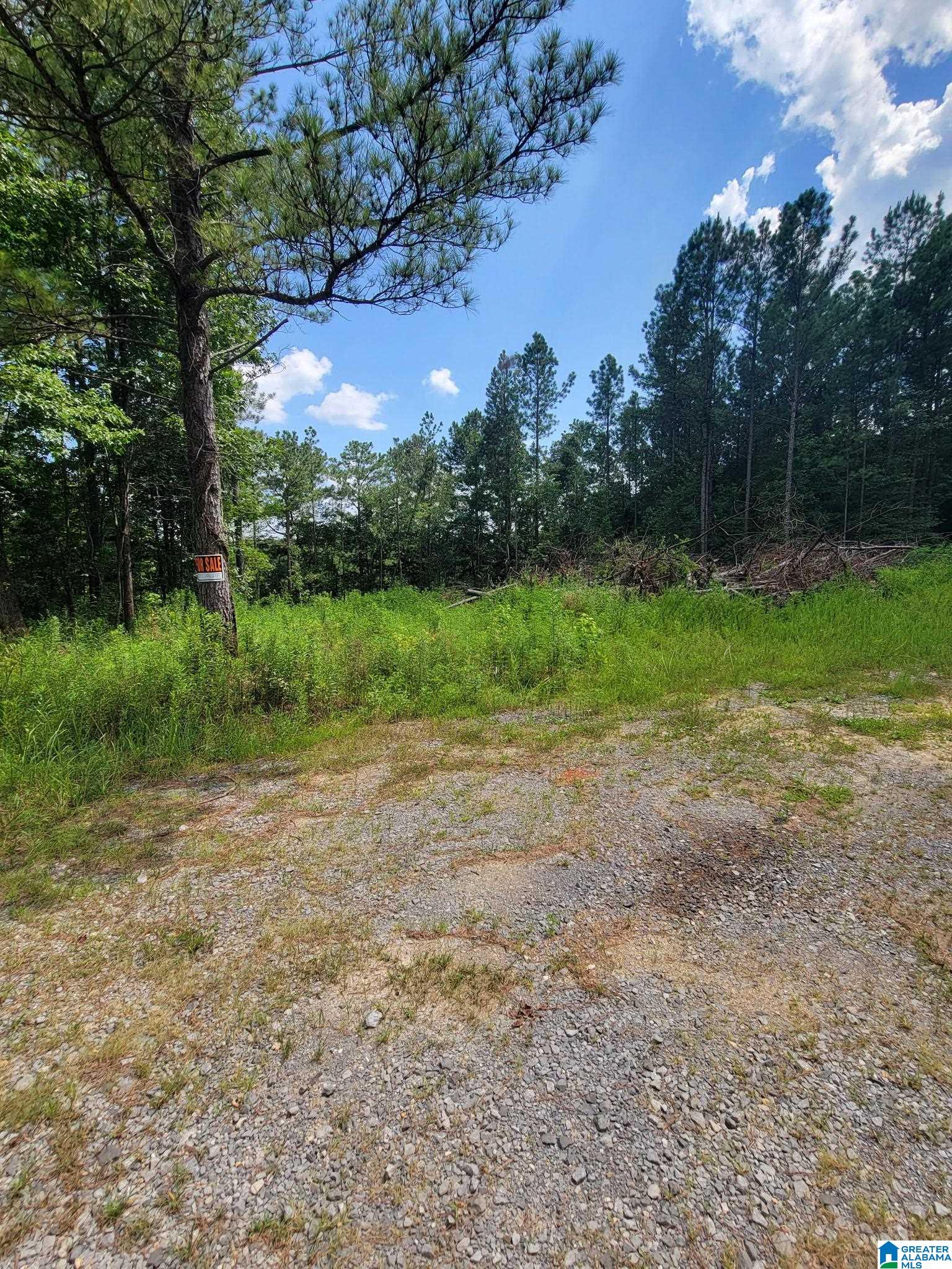 499 Sweet Apple Road Cropwell, AL 35054 - Photo 3 of 9