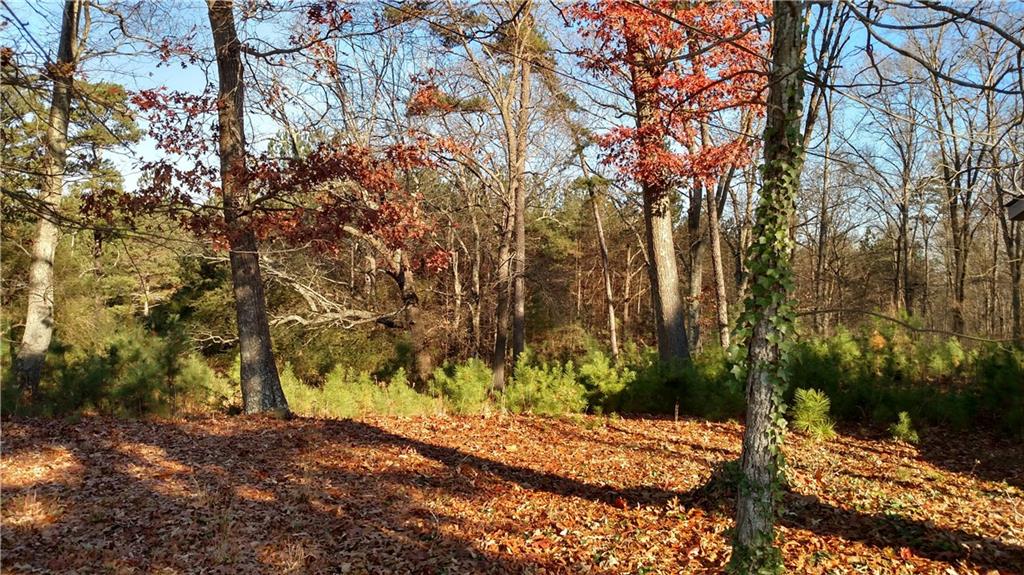 0 Highway 92 Acworth, GA 30102 - Photo 15 of 15 a view of a yard with plants and trees