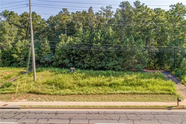 a view of a yard with potted plants