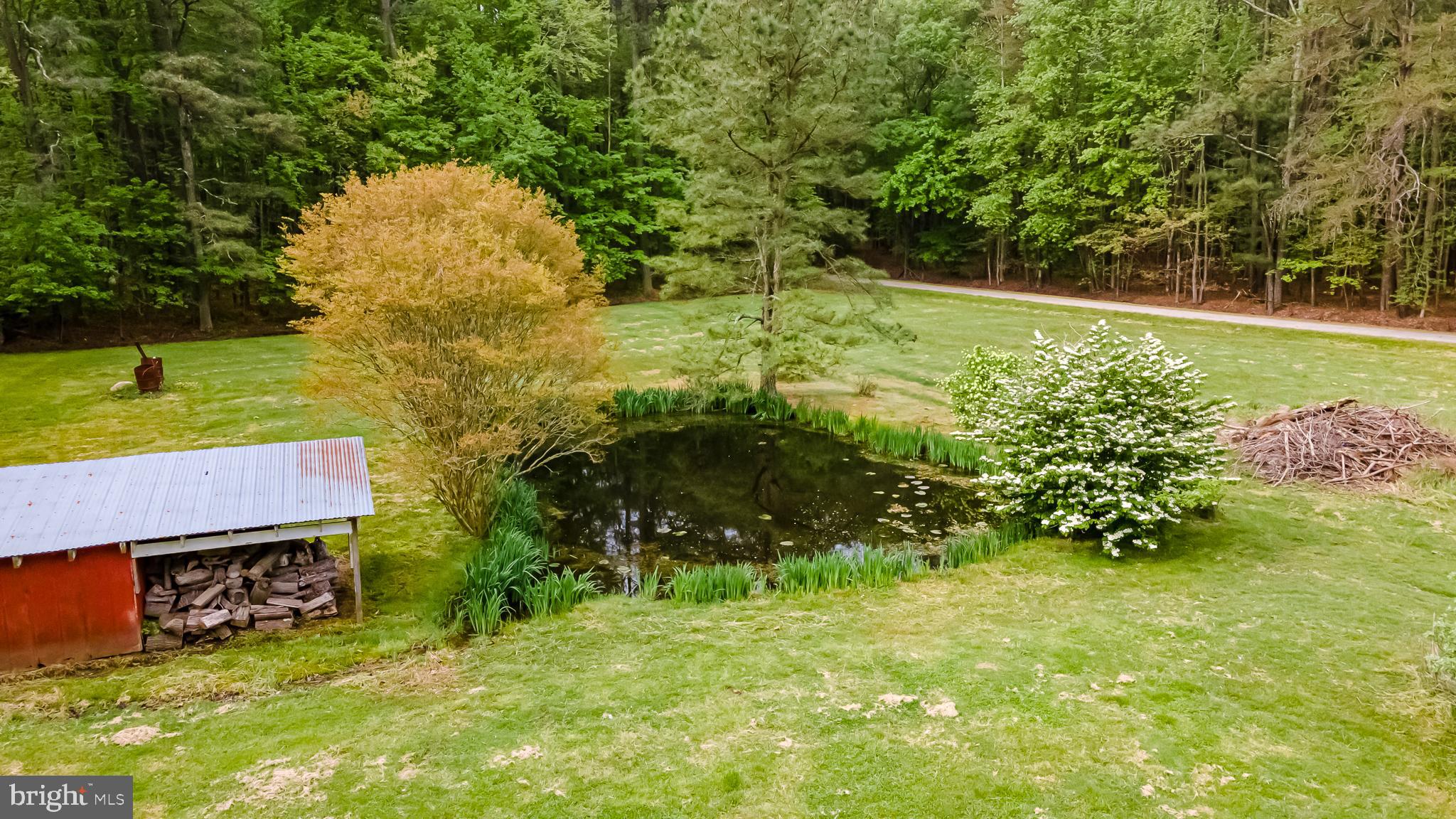 29989 Polks Road Princess Anne, MD 21853 - Photo 47 of 51