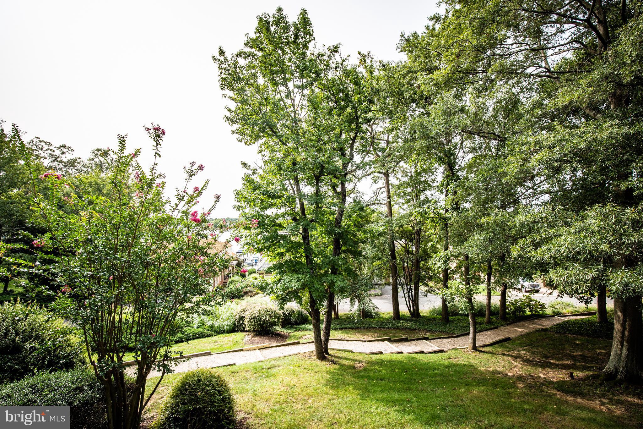 1010 South River Landing Road Edgewater, MD 21037 - Photo 36 of 46