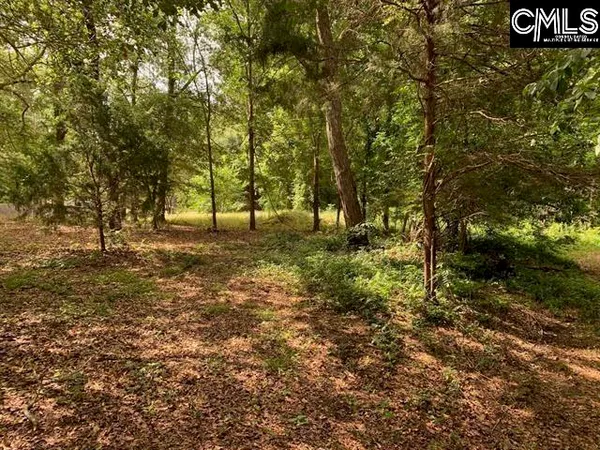 a view of outdoor space with trees all around