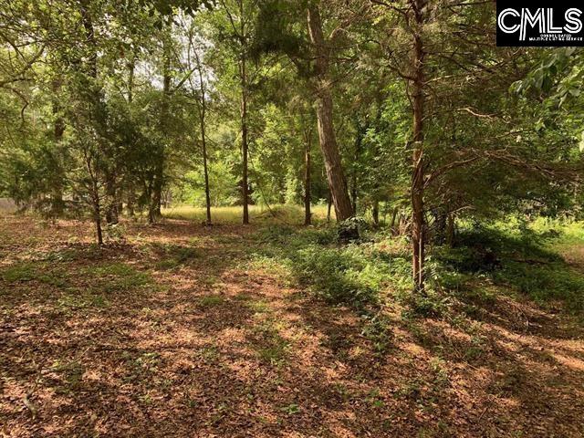 436 Peach Festival Road Gilbert, SC 29054 - Photo 1 of 7 a view of outdoor space with trees all around