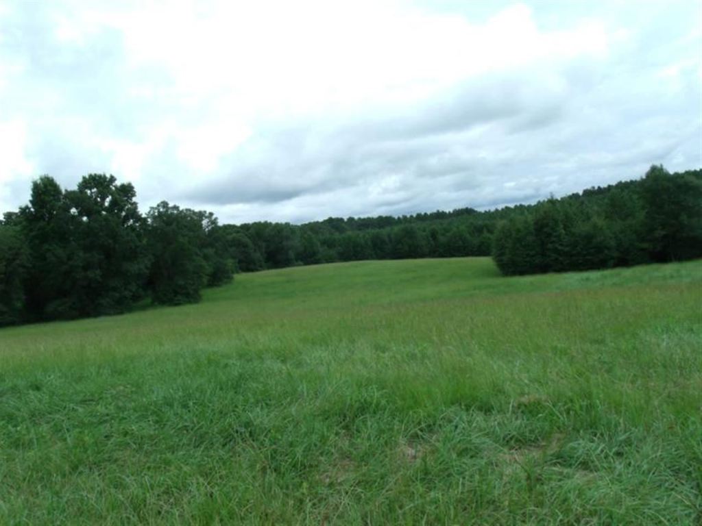 0 Mayfield School Road Belton, SC 29627 - Photo 8 of 8 Gallery Image 8